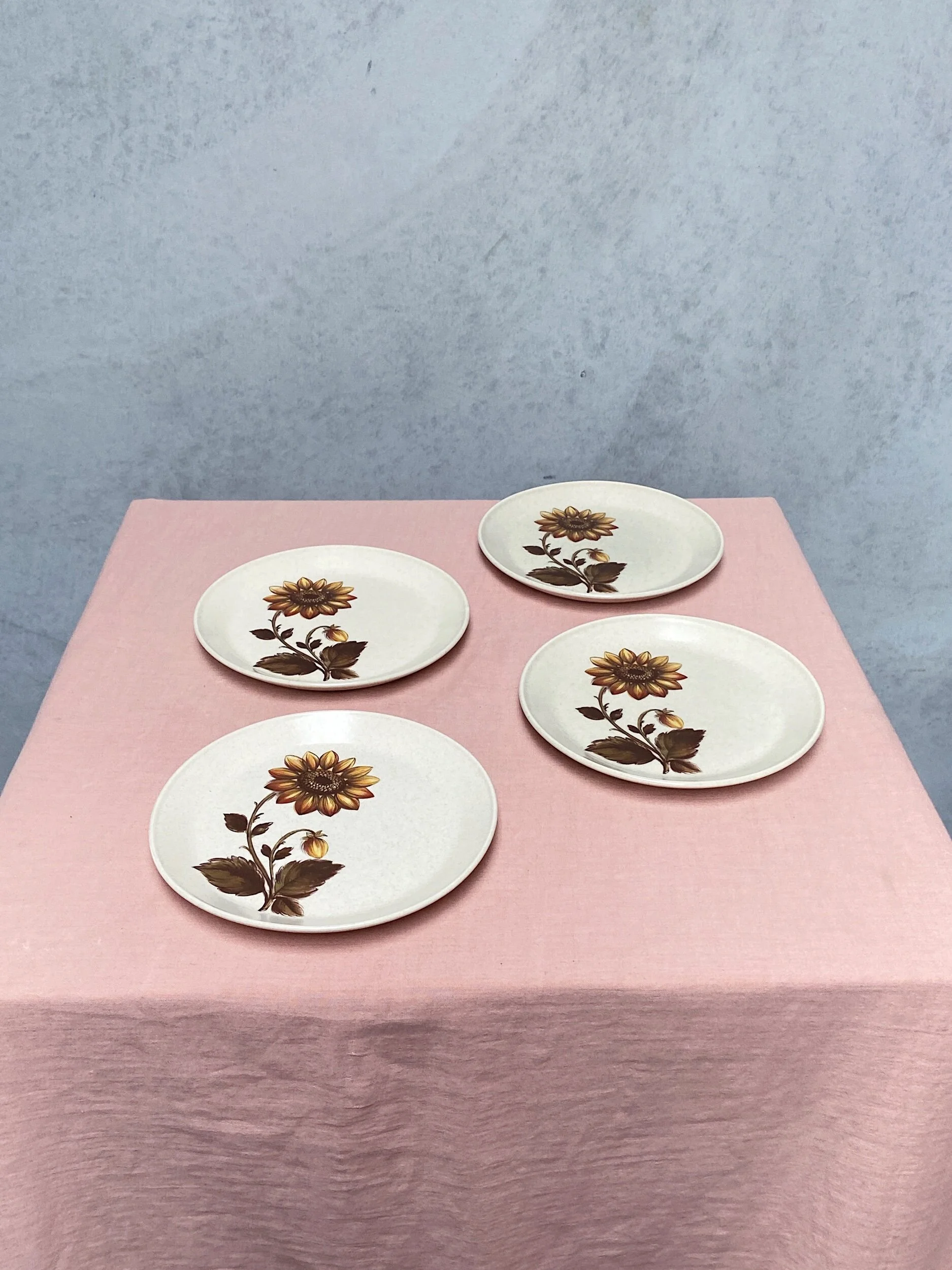 70C6DE37-2AAB-4548-A47E-7AEE1960C82D