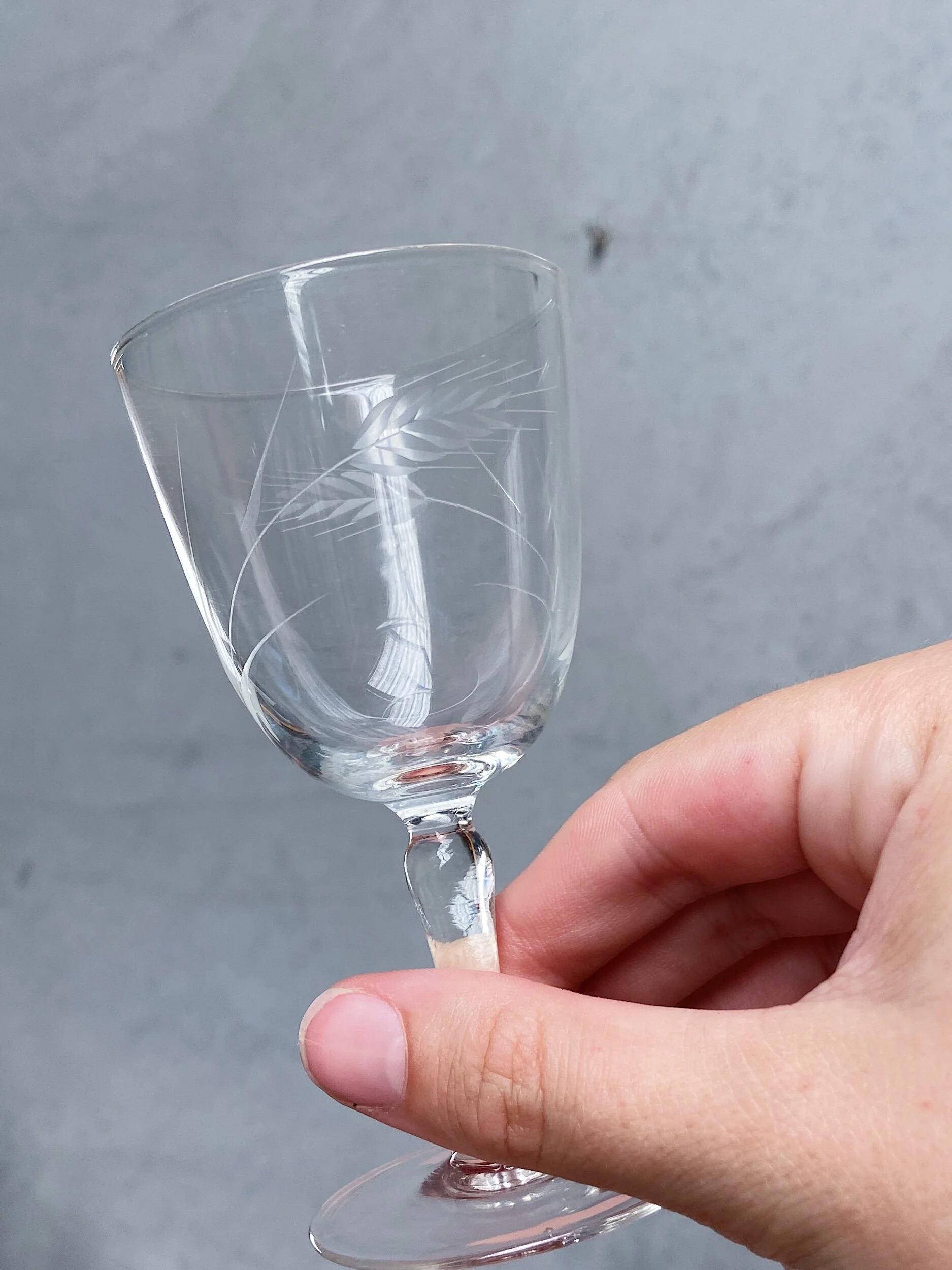 1E028E74-BEF9-404F-8E25-31B665A2011C