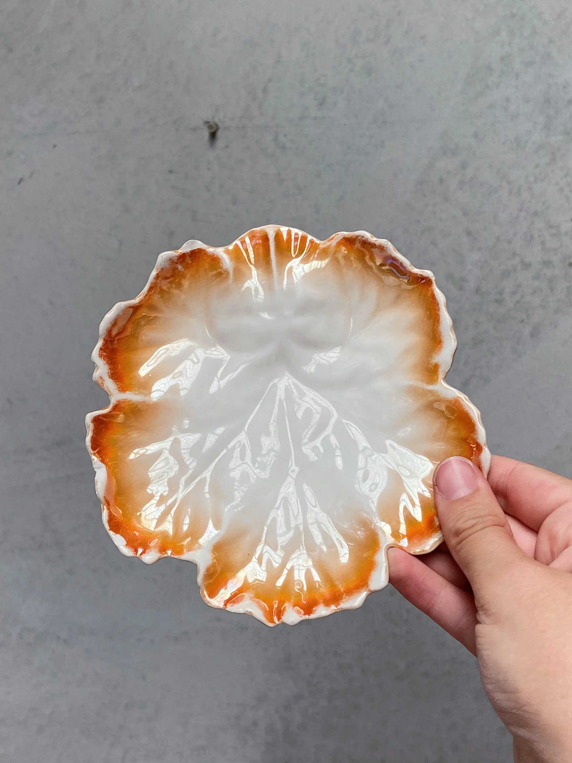 FE9075F8-8318-48C2-ADDC-0132CB1D6529