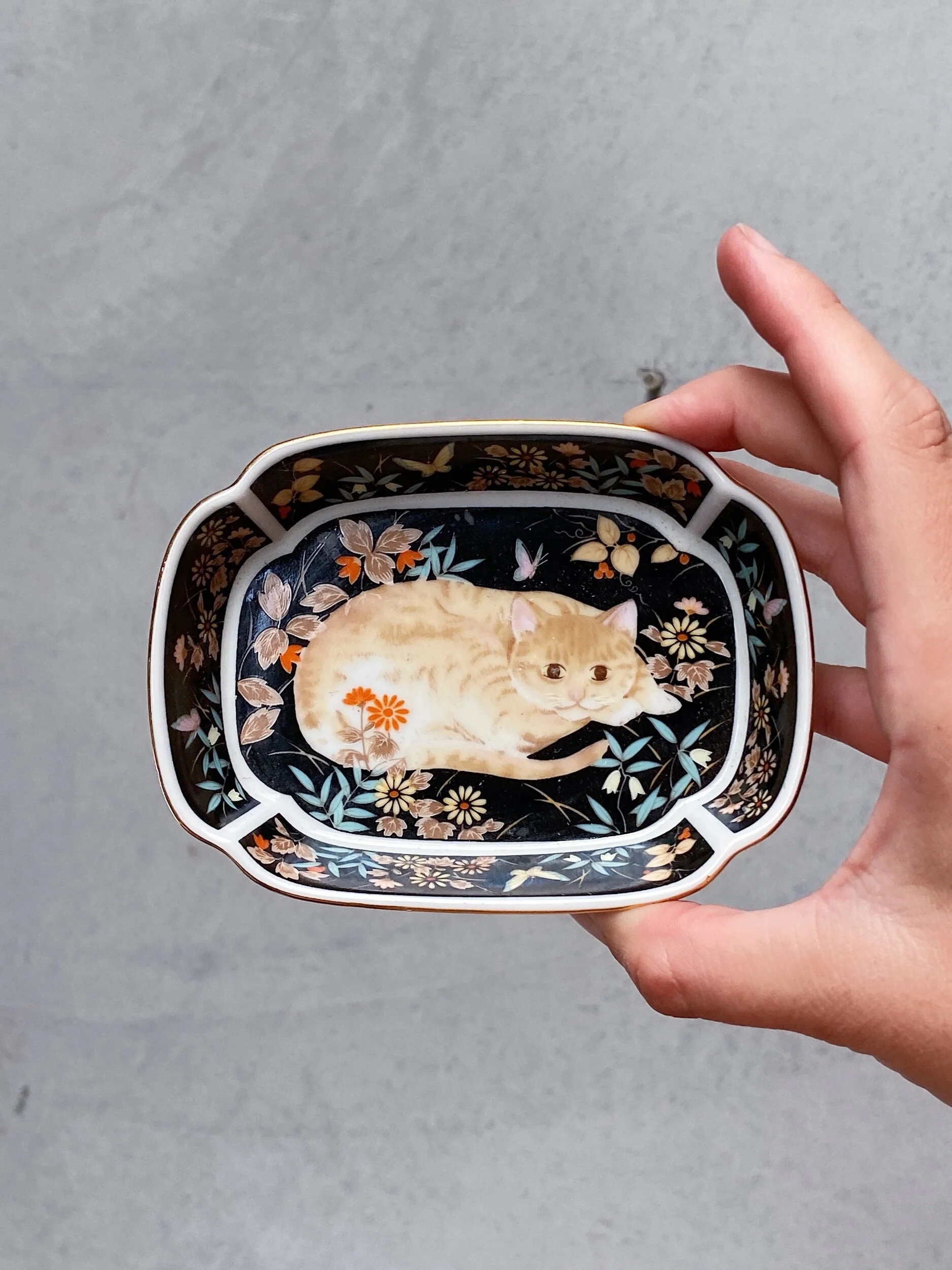 ED72DB82-6A2E-49DC-AE65-0A4B276B7E70