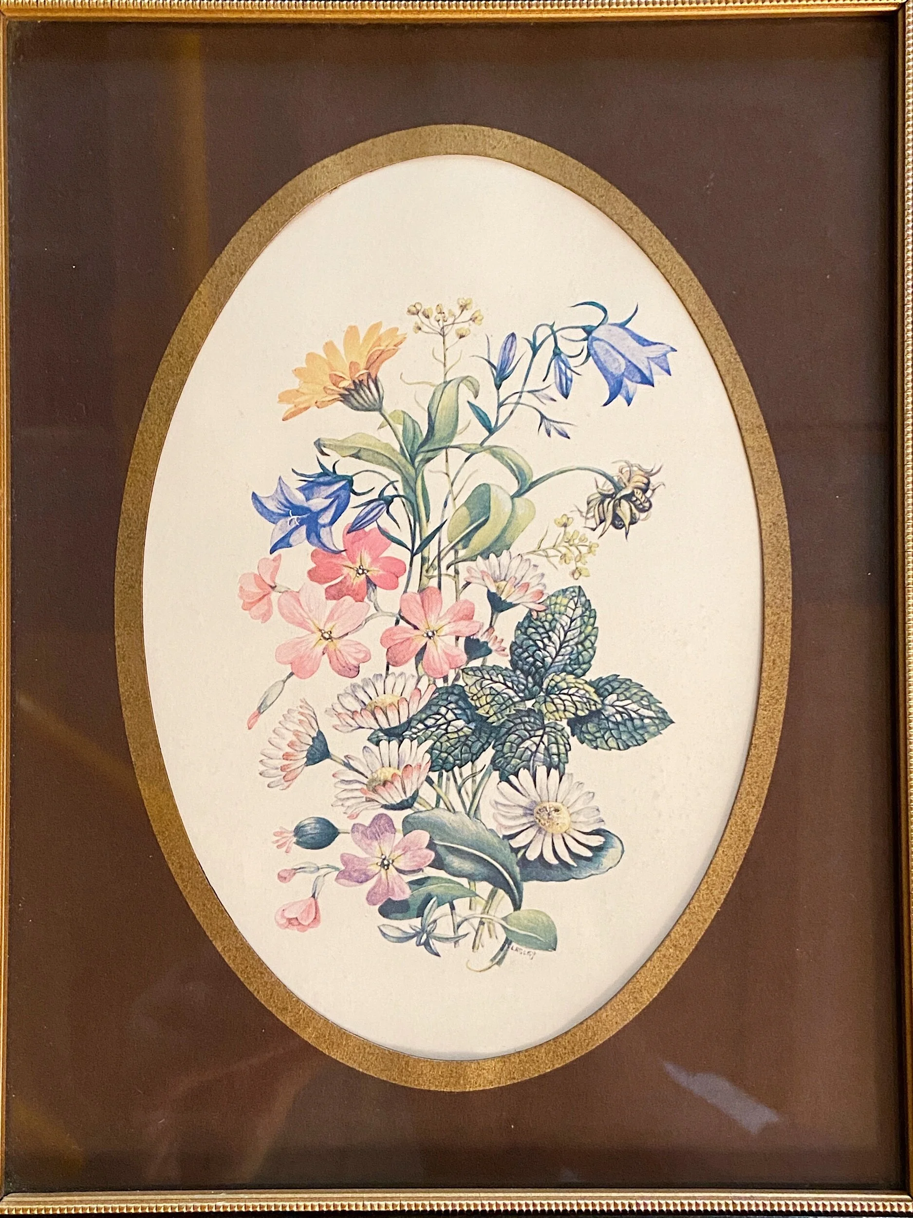 24FF99D3-1748-4F0B-86F4-CFA6FA6CE8F8