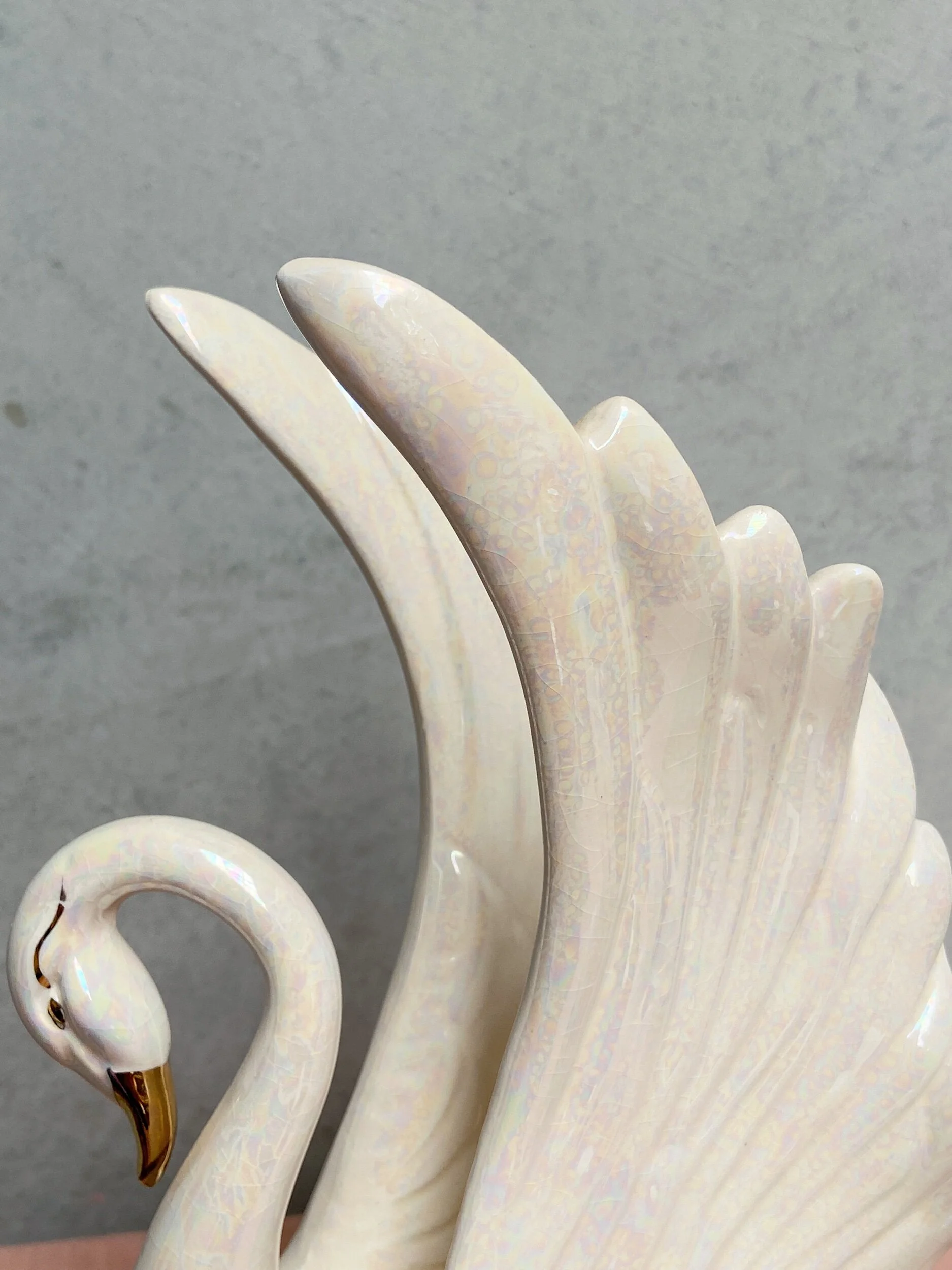 2A25C658-9B94-4C41-A2A8-E3C1718DD45E