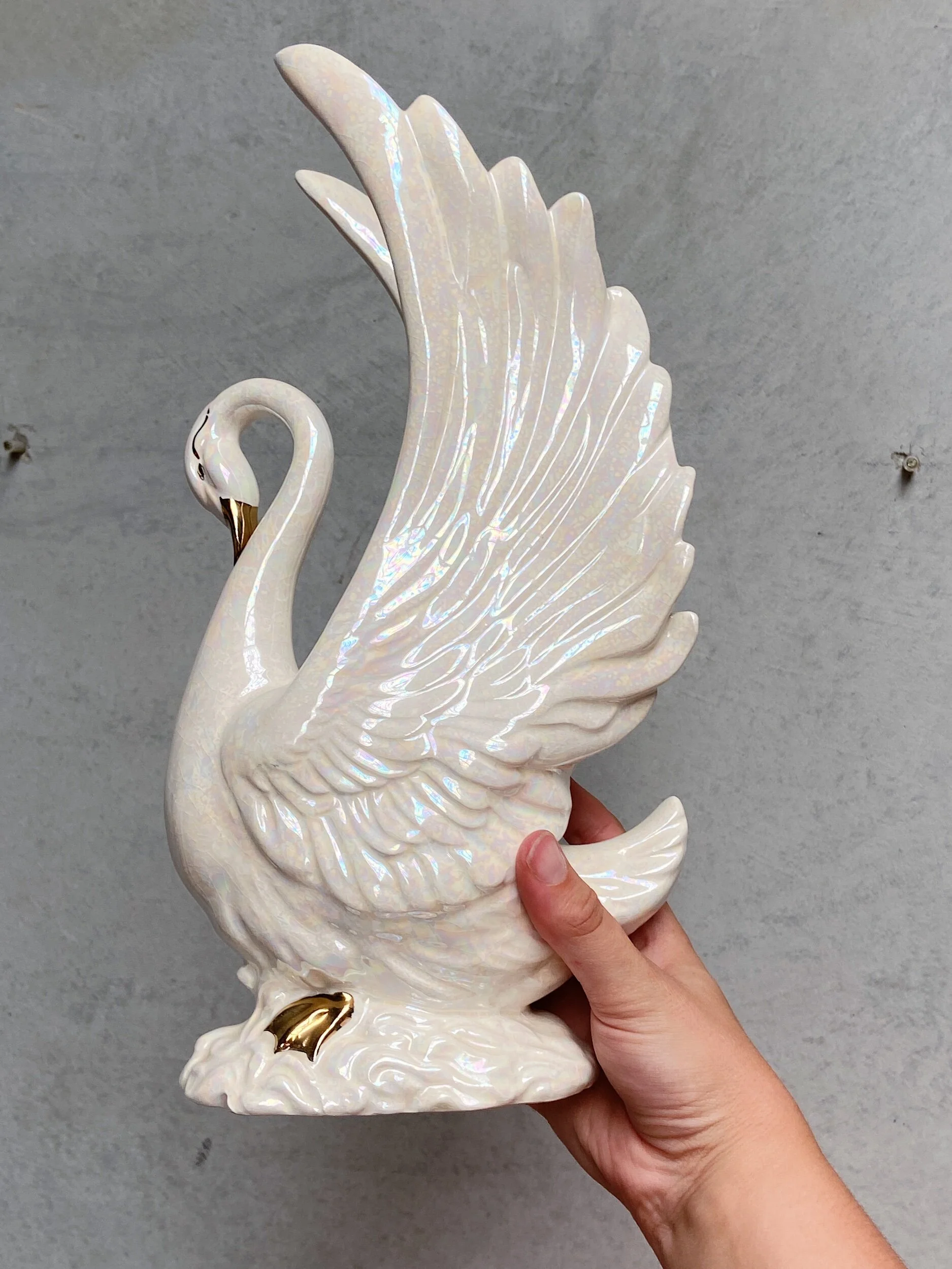 544CAC54-C3A6-4521-A6AC-4DCD488ABC83