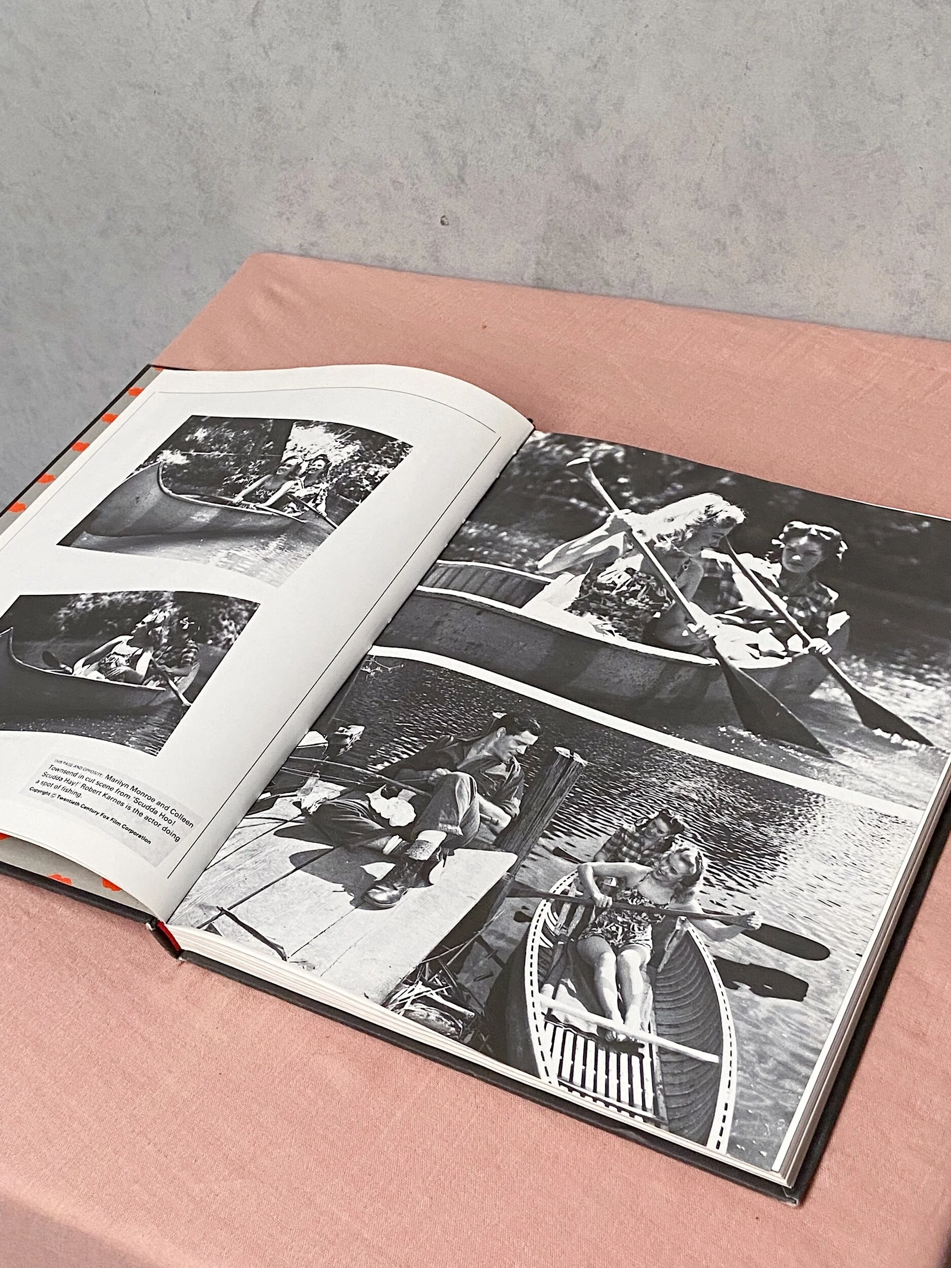 8134C495-69E8-4961-A8B8-33433D60BF30