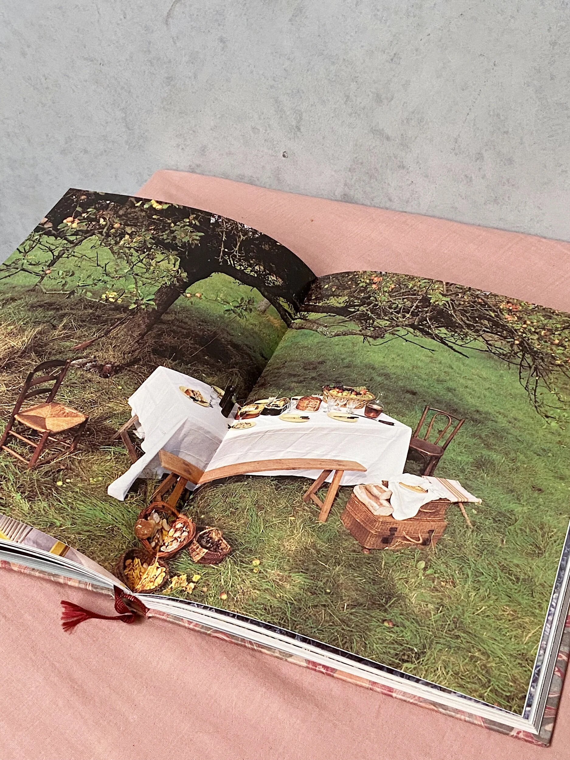 404DBE5D-DF4A-474D-B0E7-8B836BFF982E