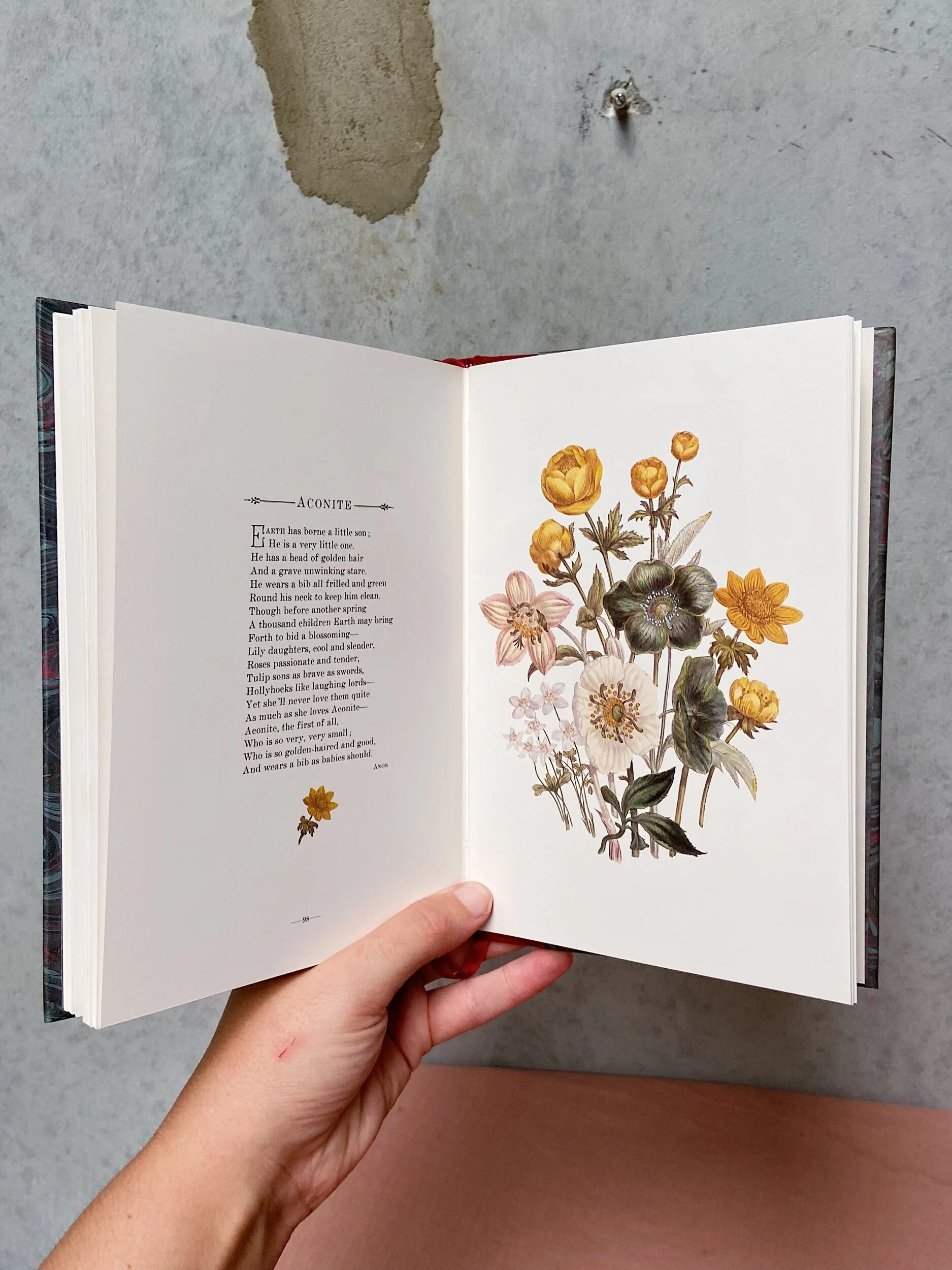 690F6E5A-FC2D-4E6E-86B3-0B37CDA5A2B2