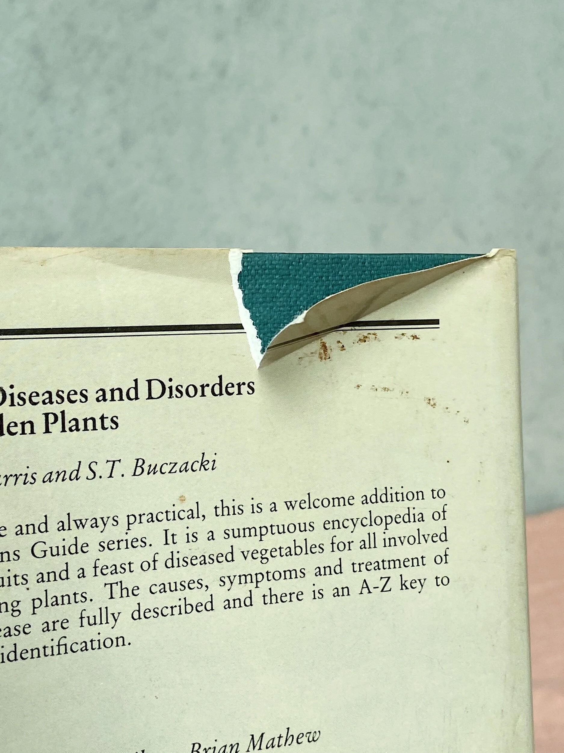 CF2552C0-419F-4AD0-A96B-6563424841B2