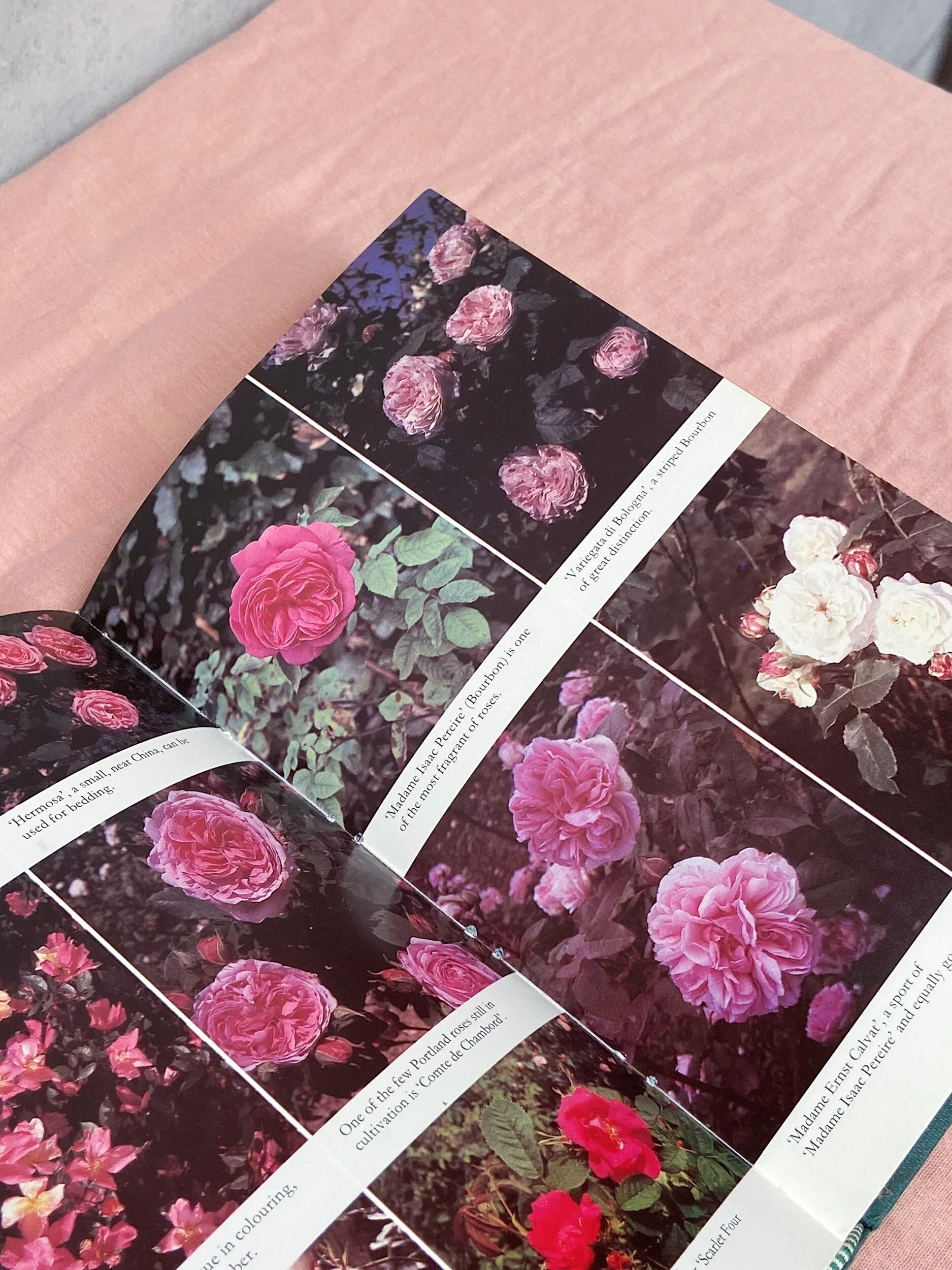 DA5C75CF-A410-4C14-8813-D71BF89D9B02