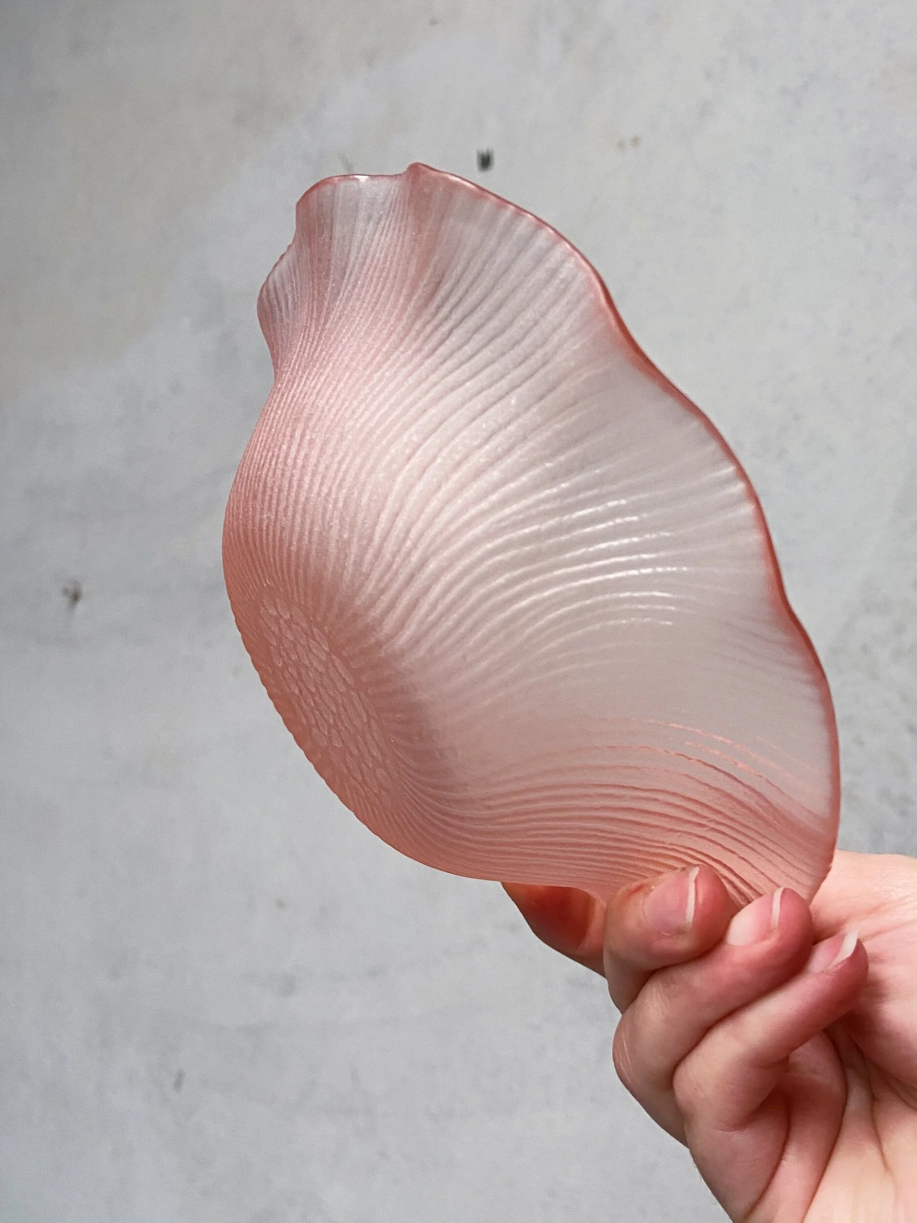 6384F3F5-EC8C-4327-B7C6-34CF969FE858