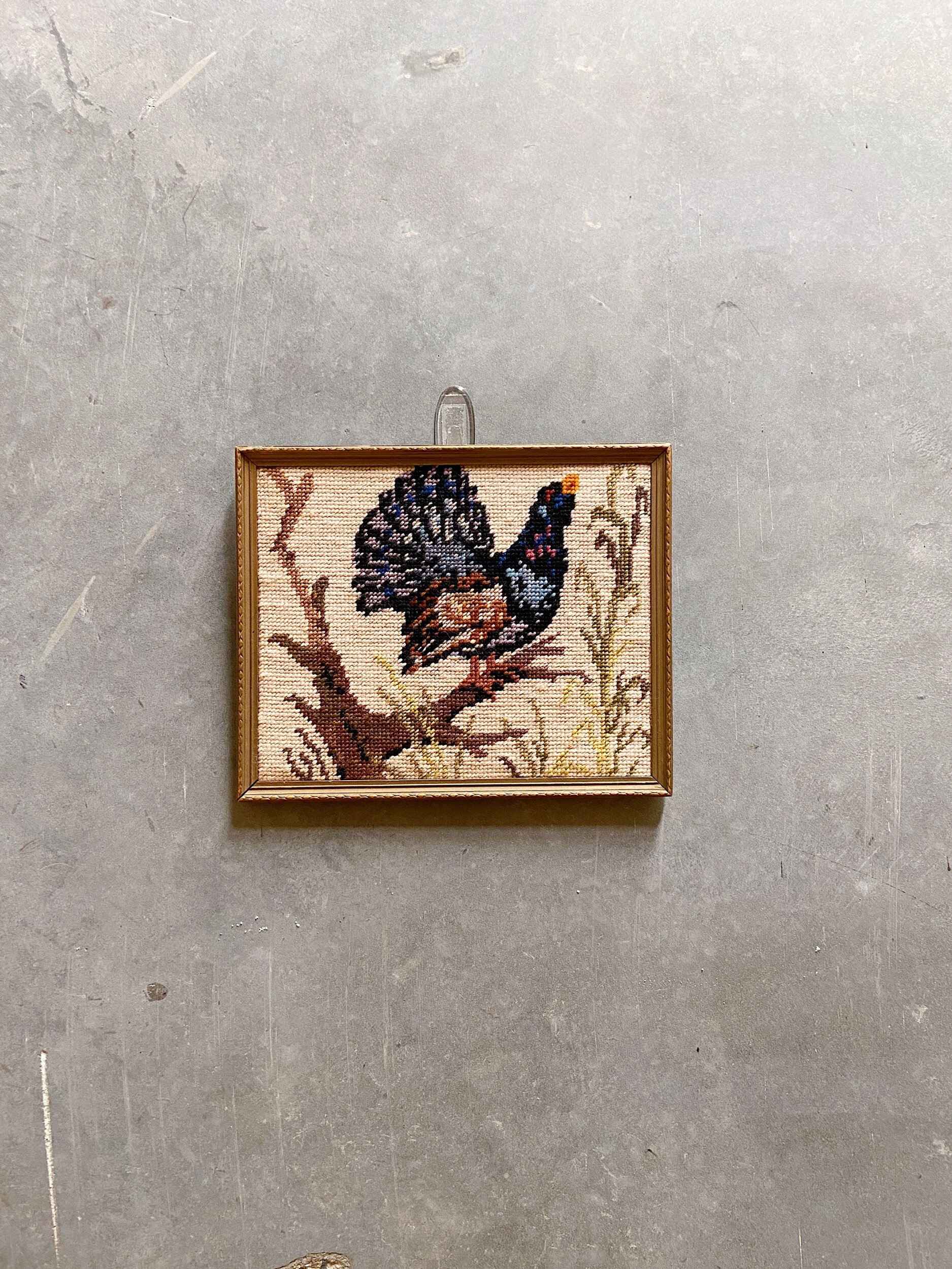 A7E70067-46B2-489D-B0C1-4C245E87838B