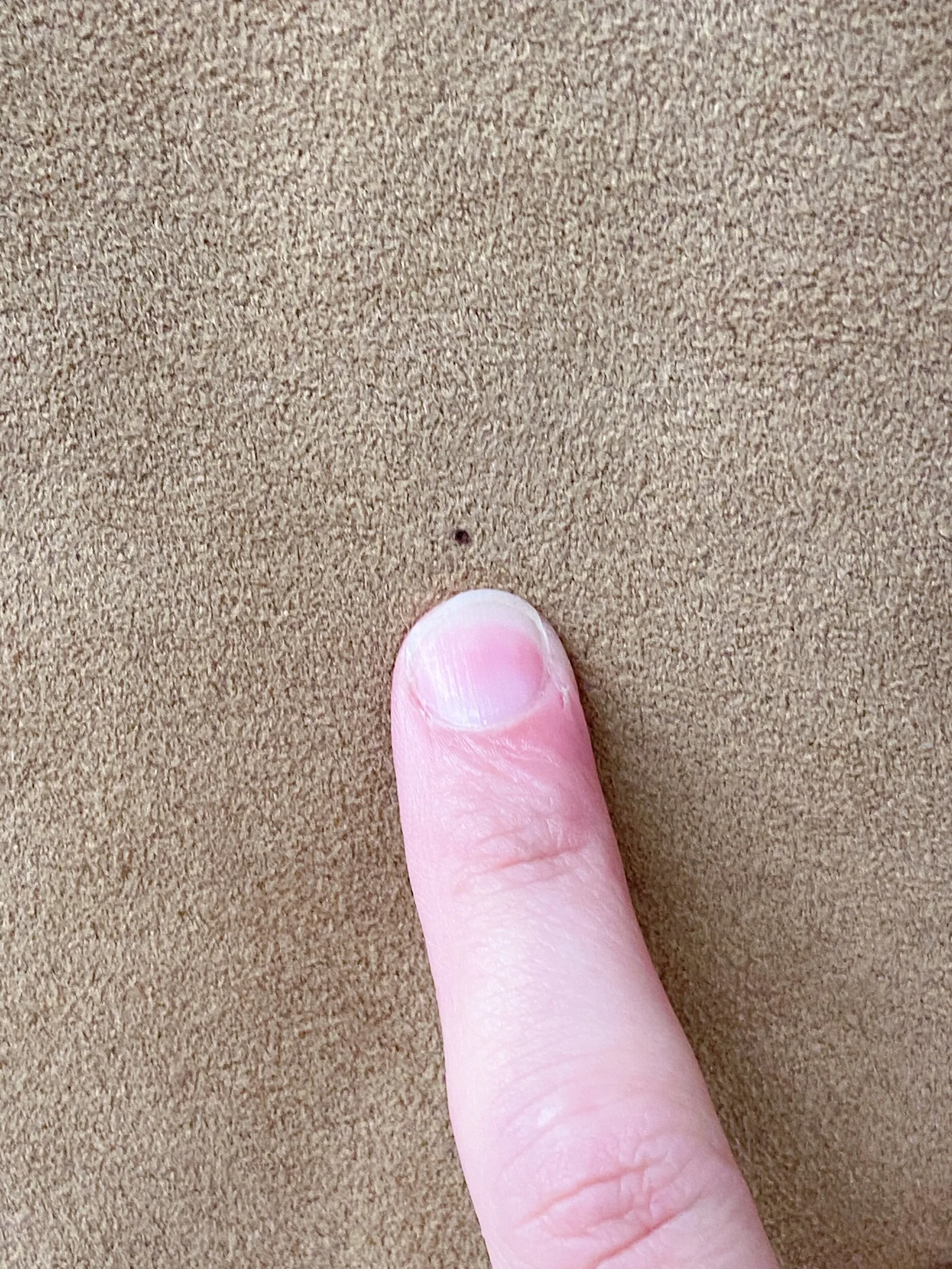 E21E5F15-AC11-4FA8-AE77-C36CA4B41C4B