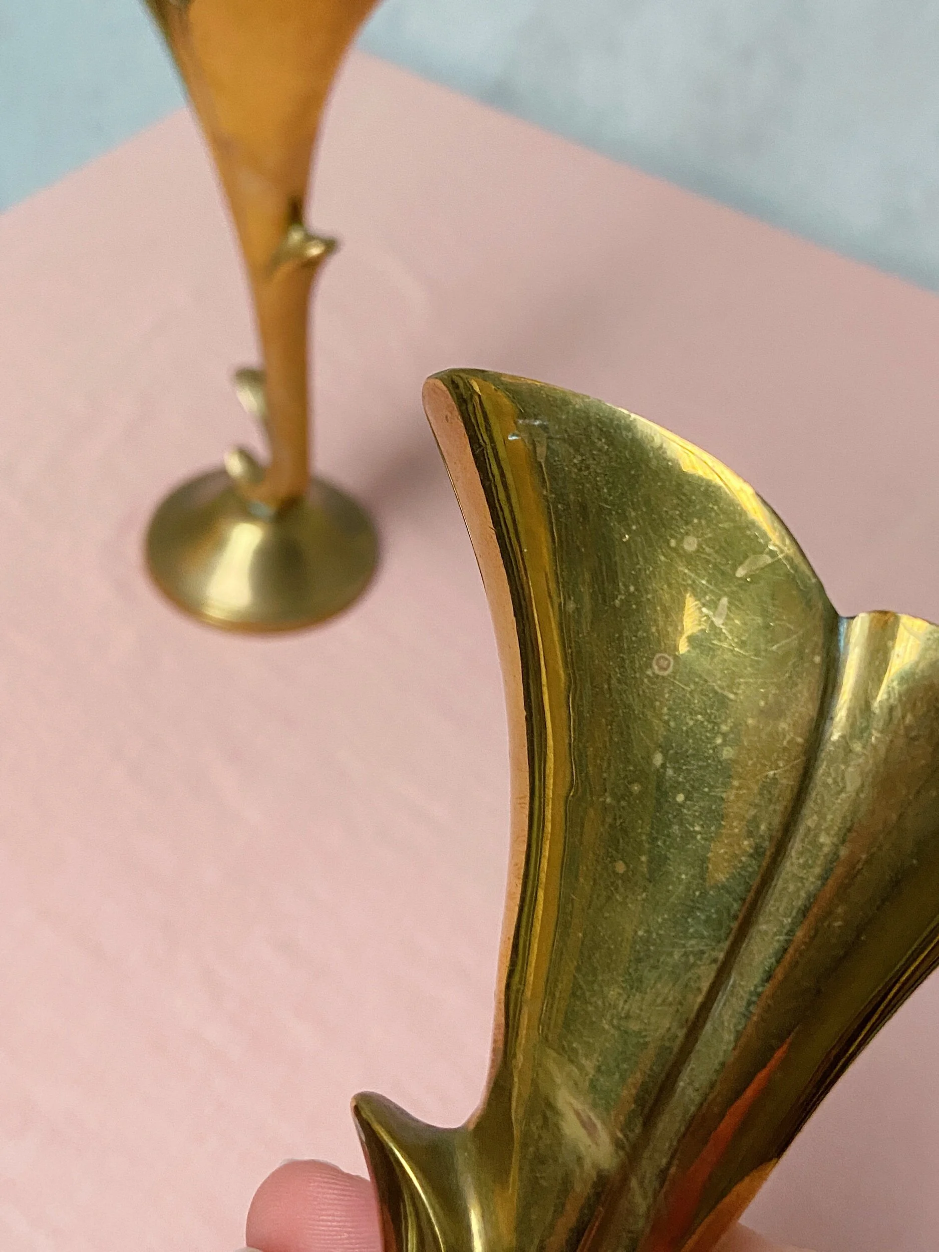 3E5A9CCF-7A34-4A86-B1EF-B82955F899C8