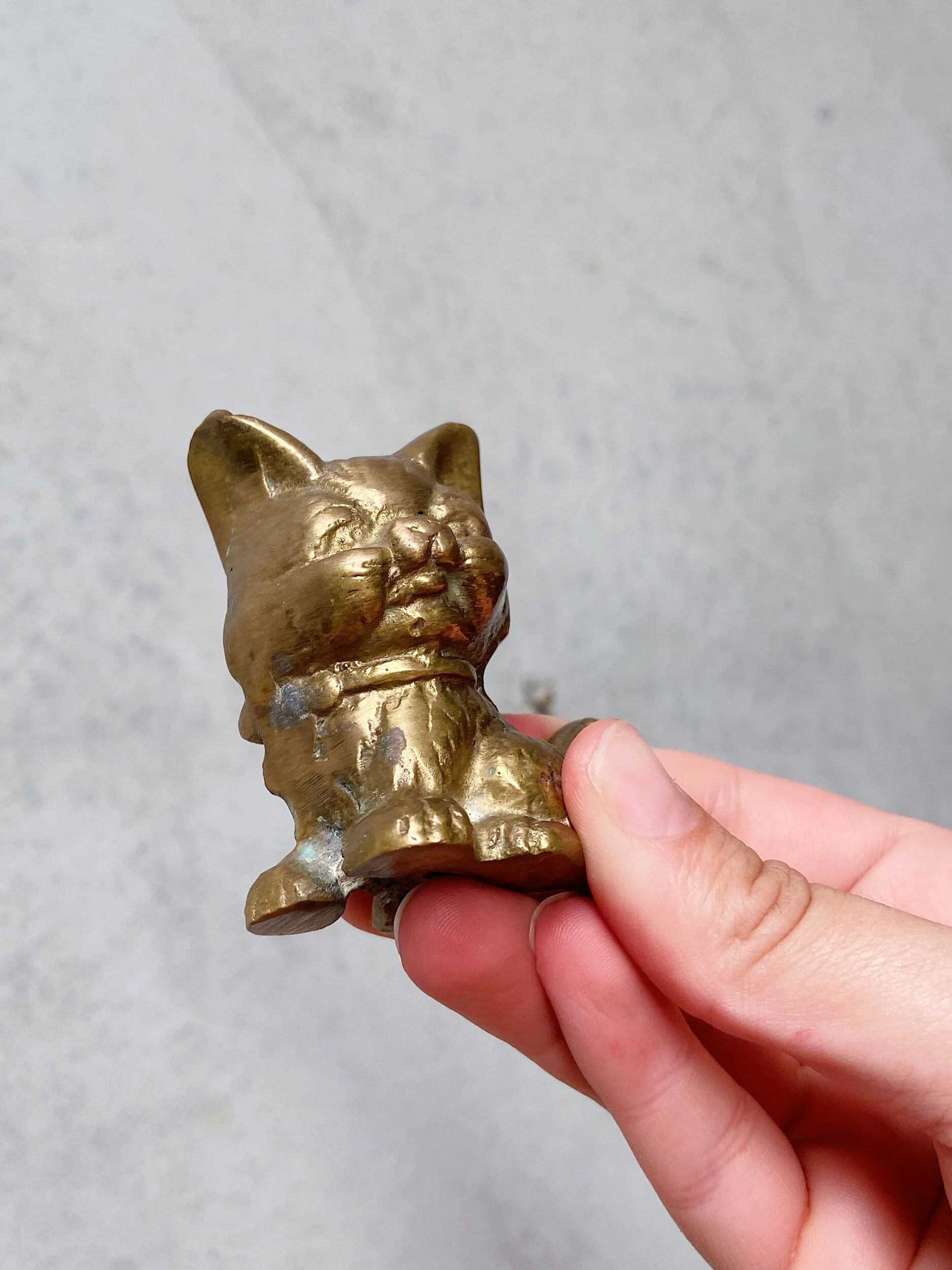 C8CE5E3E-4B73-4017-9C88-C5984AB428B6