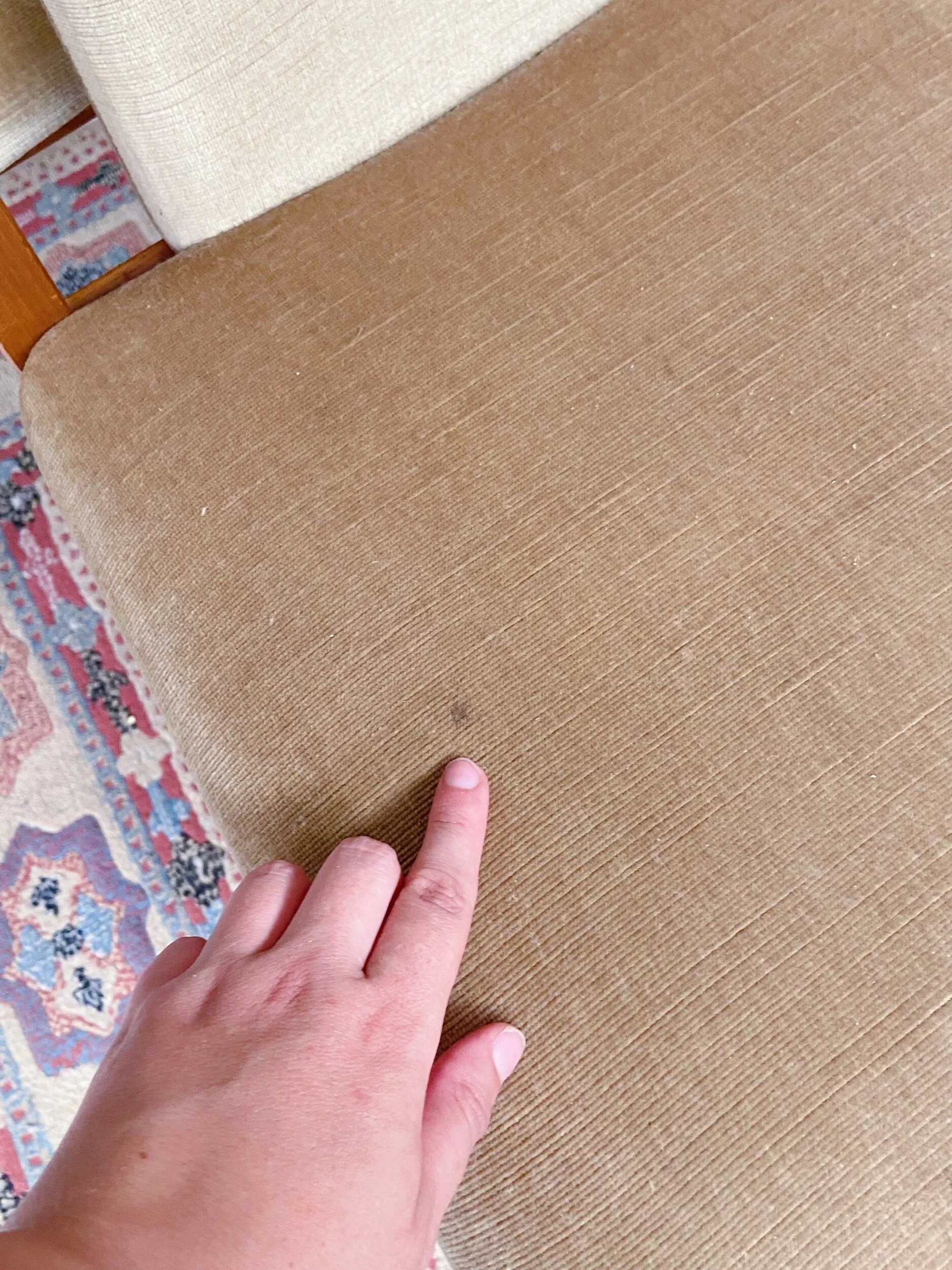 495C9C25-418B-4A3B-95F0-3351878B6EB7