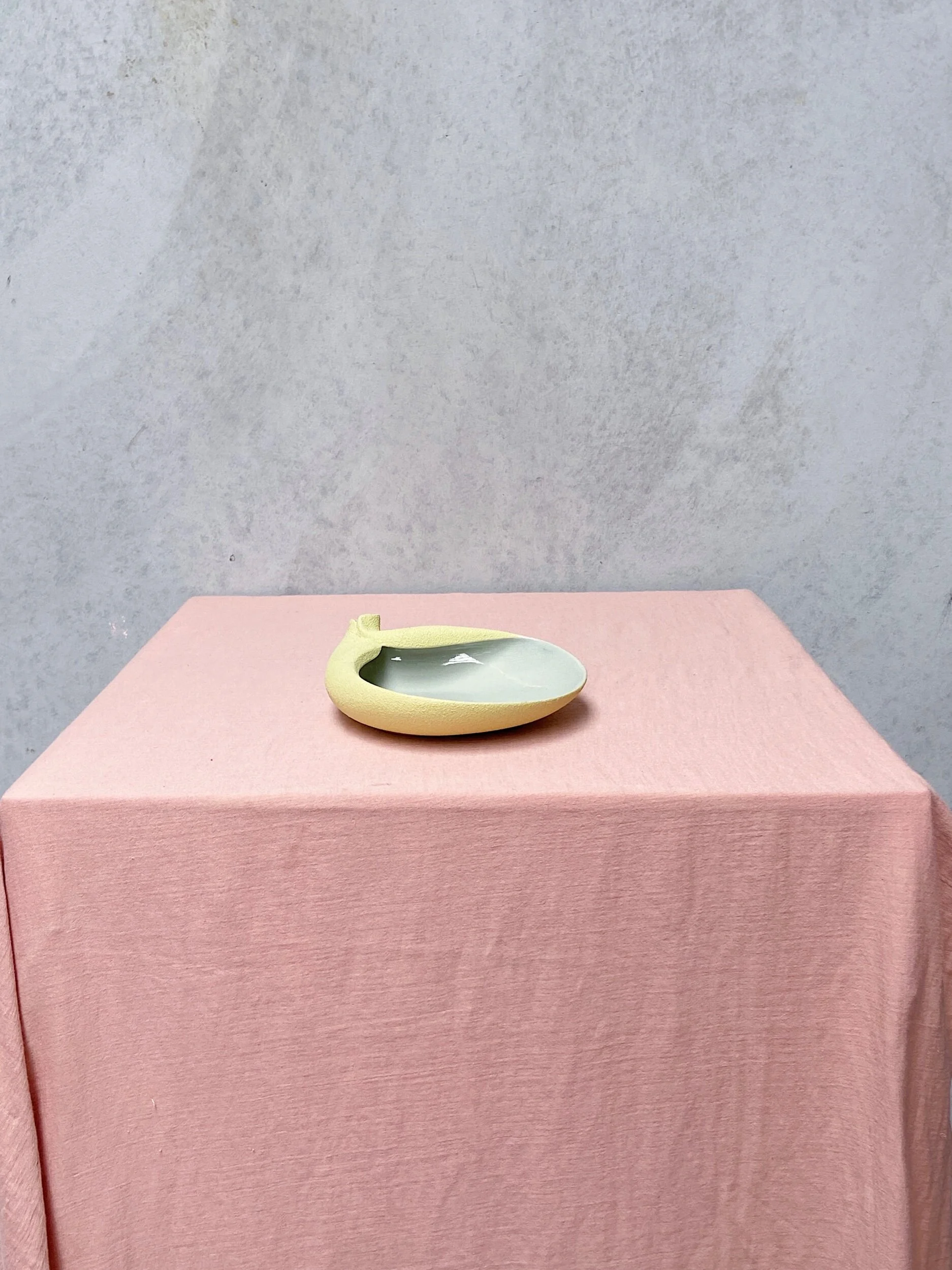 2422AFE0-6D5C-42E6-A331-29A2D10A937D