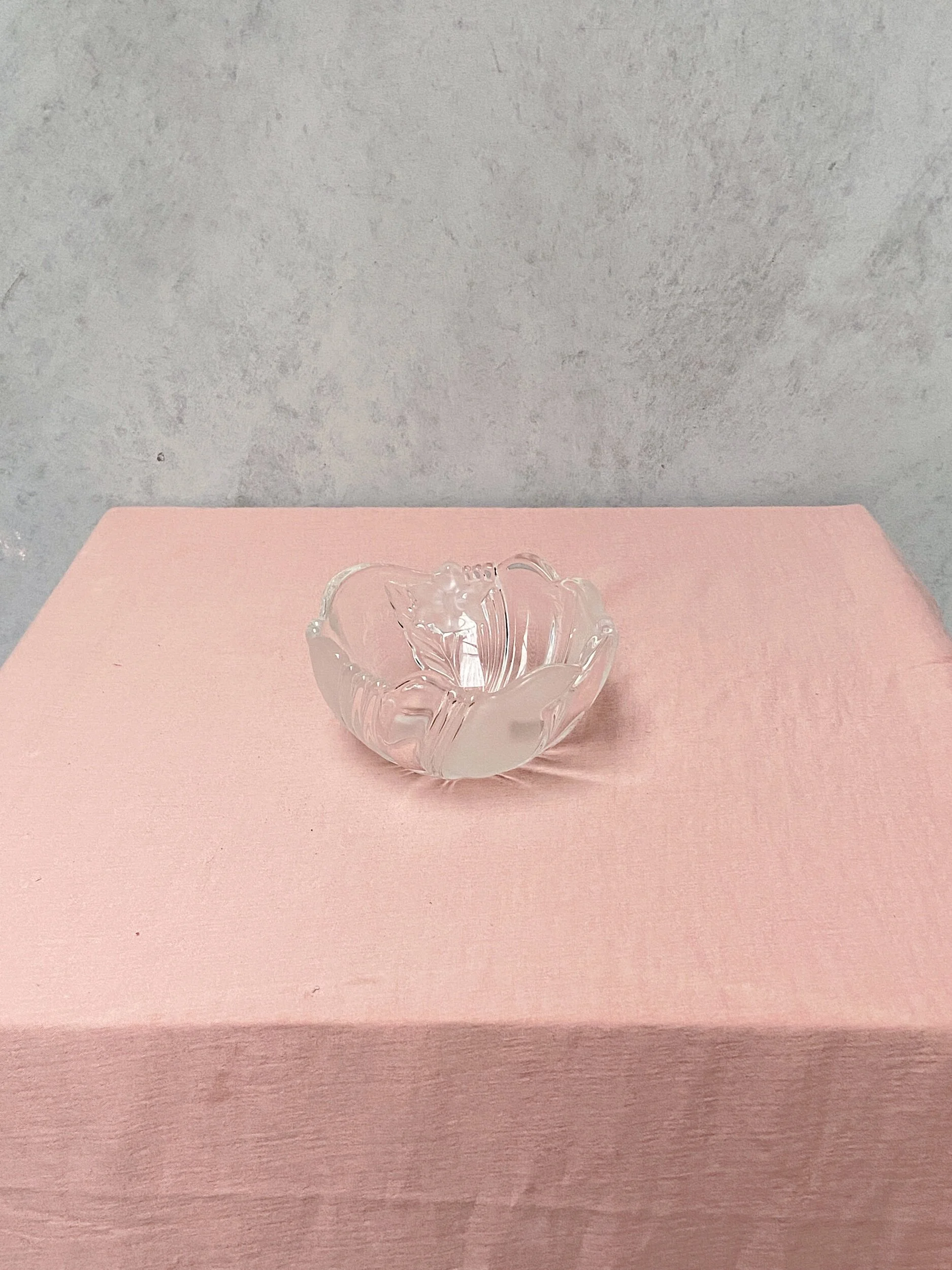 8CC1F384-0367-4805-A357-640DF65588AD