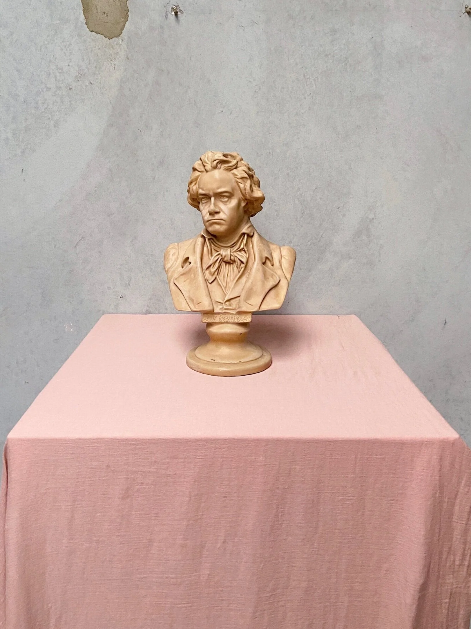 49EA77E3-C737-47BA-8498-C4E678D296E3