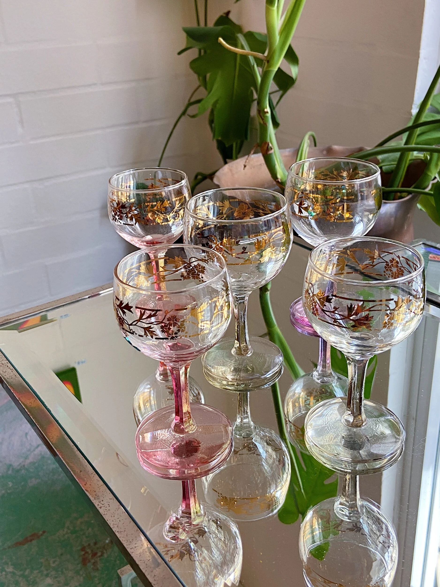 4F3504C5-C5A0-4587-B8CE-BC3188B95834