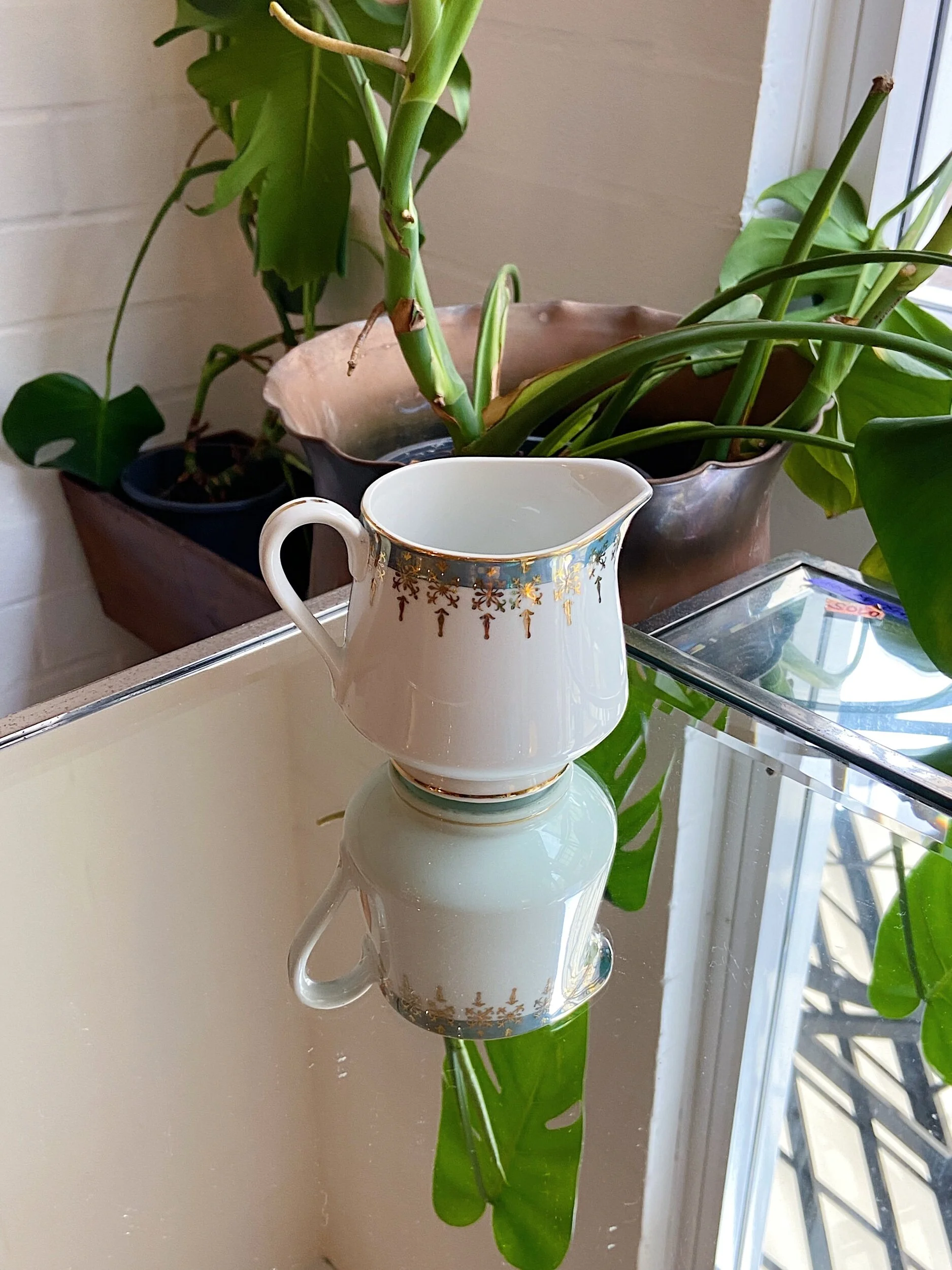 49E93090-84DB-4BCB-811B-520660E1F462