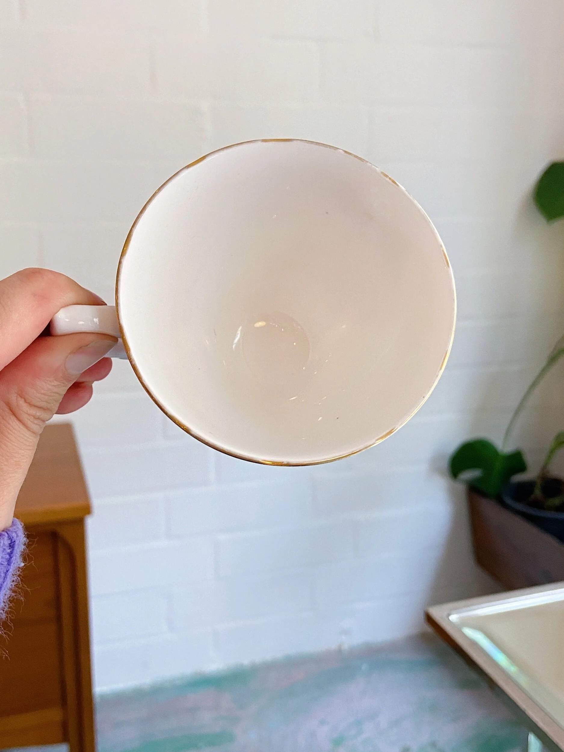 5CFF63FE-B7D5-4446-A86A-DF542D25D216