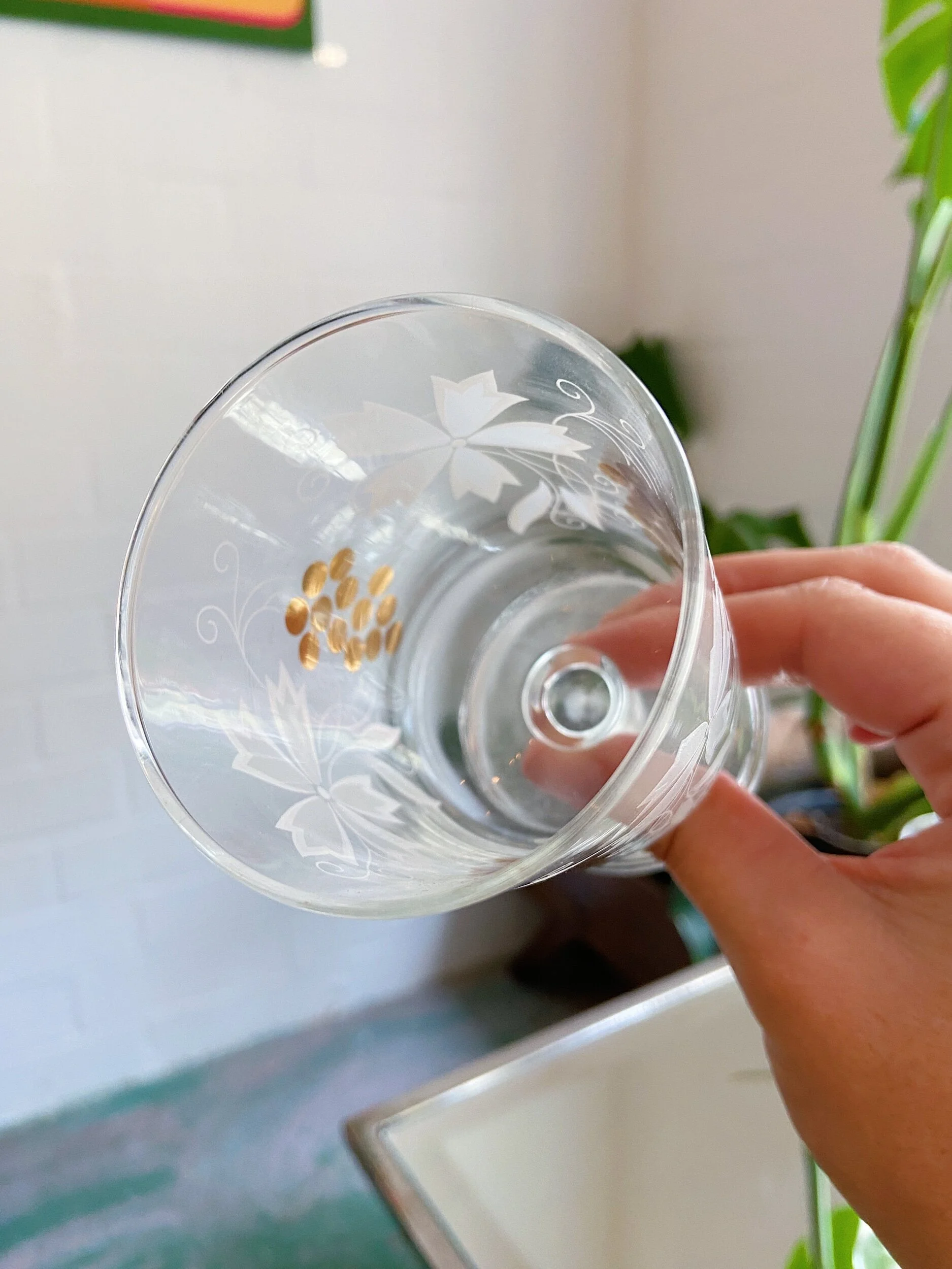 7440D944-91FA-48D2-8B06-EE17B8D21EFE