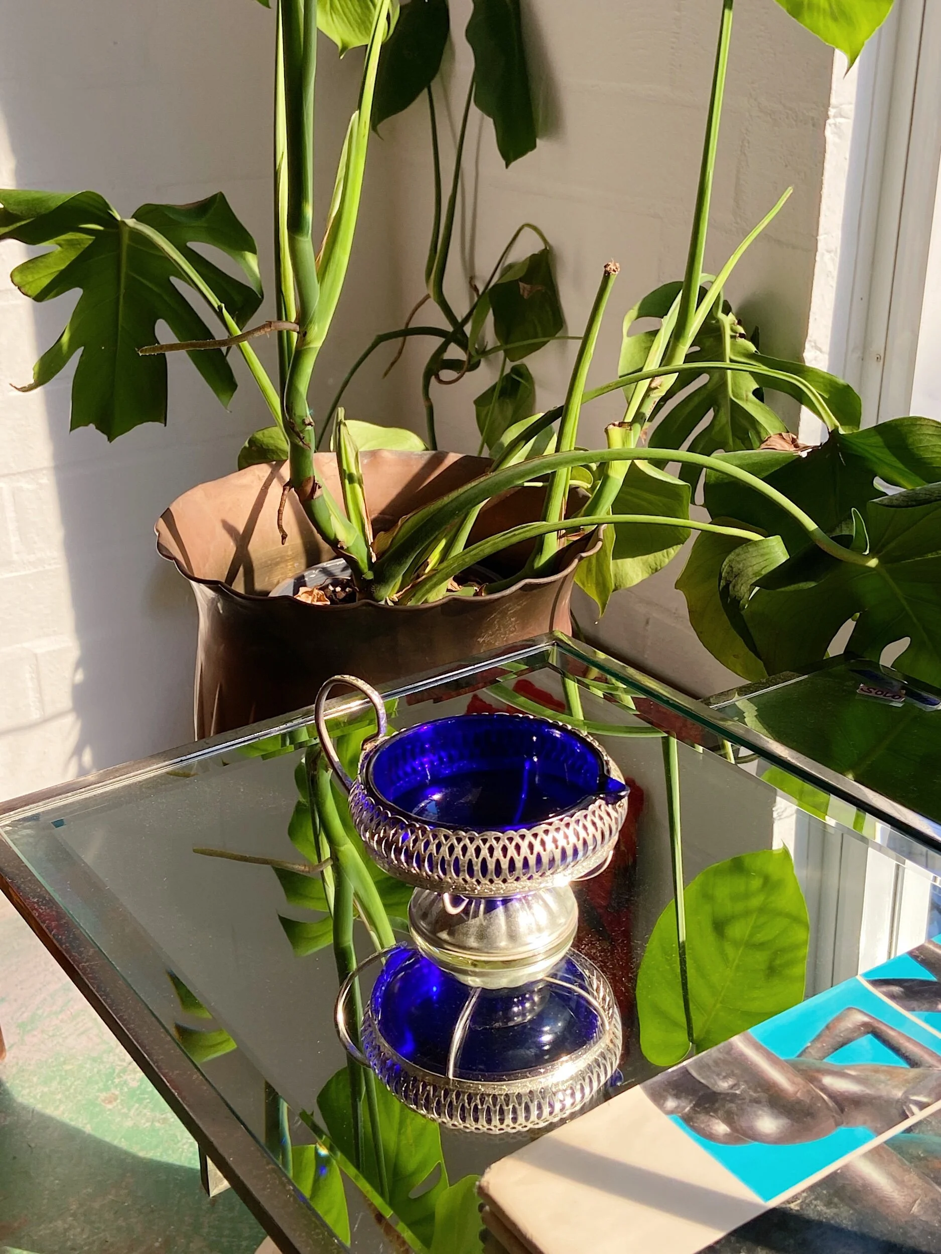 ECD9DA42-5658-4A33-B2E8-BFBEE07A79E4