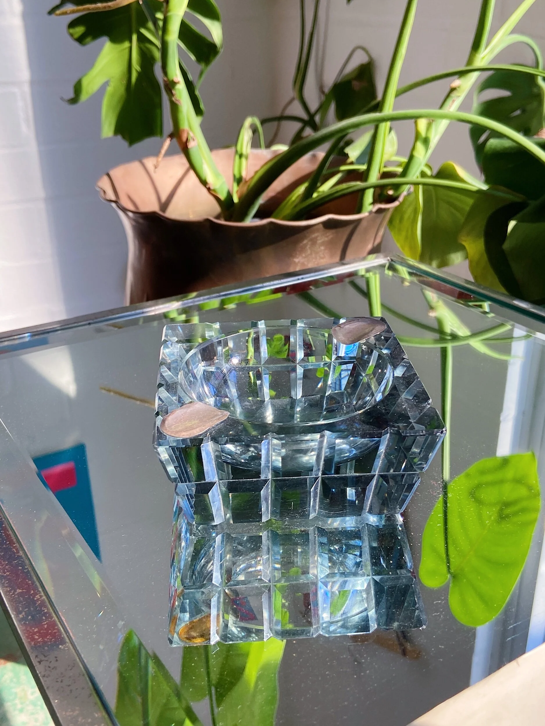 E4C19F44-2601-4442-9F3A-9DA3E78CD411