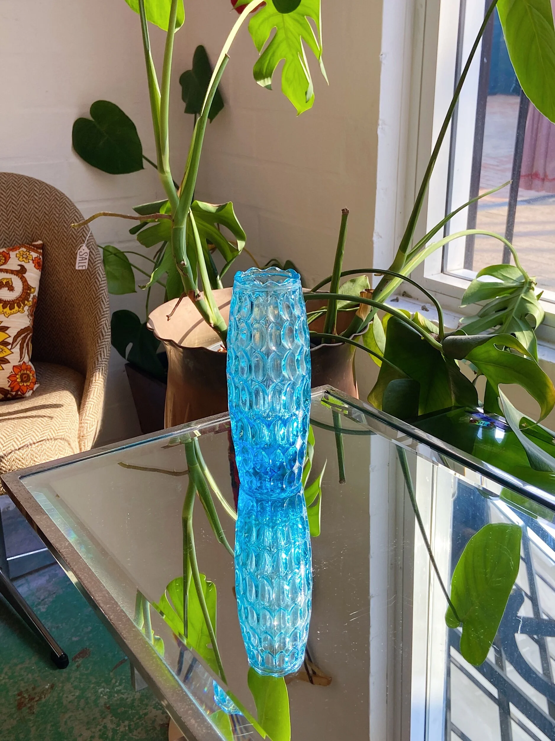 50EC4F46-0BF4-4BA1-B146-073DEDBFD8E0