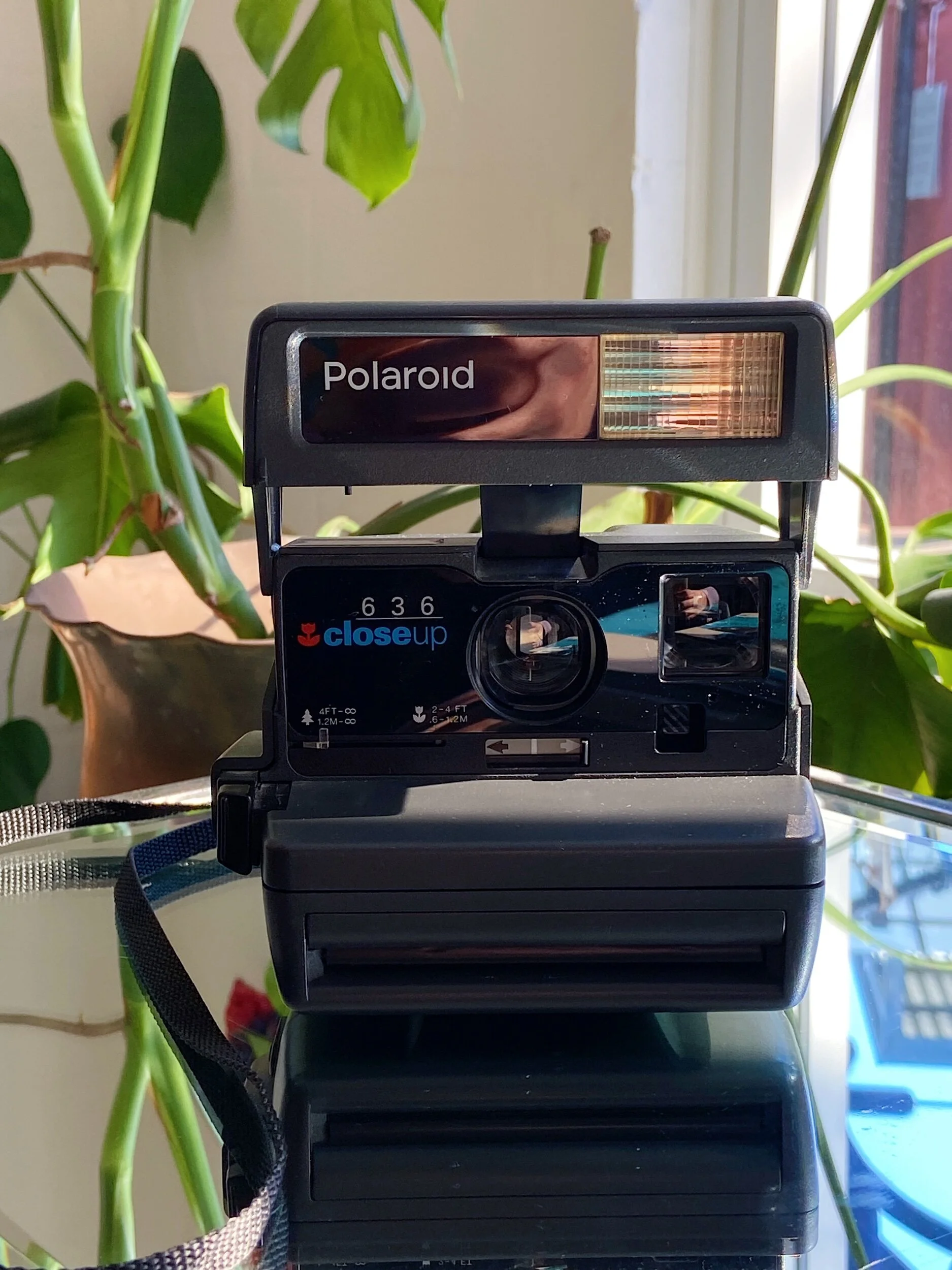 F96C5510-B858-4B04-BF6B-B61DFC3C52D6