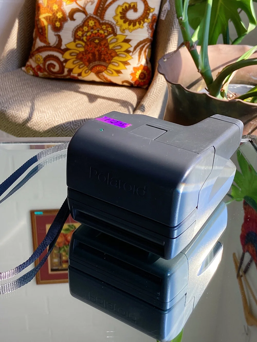 Polaroid 636 Close Up Camera — The Picker Concept