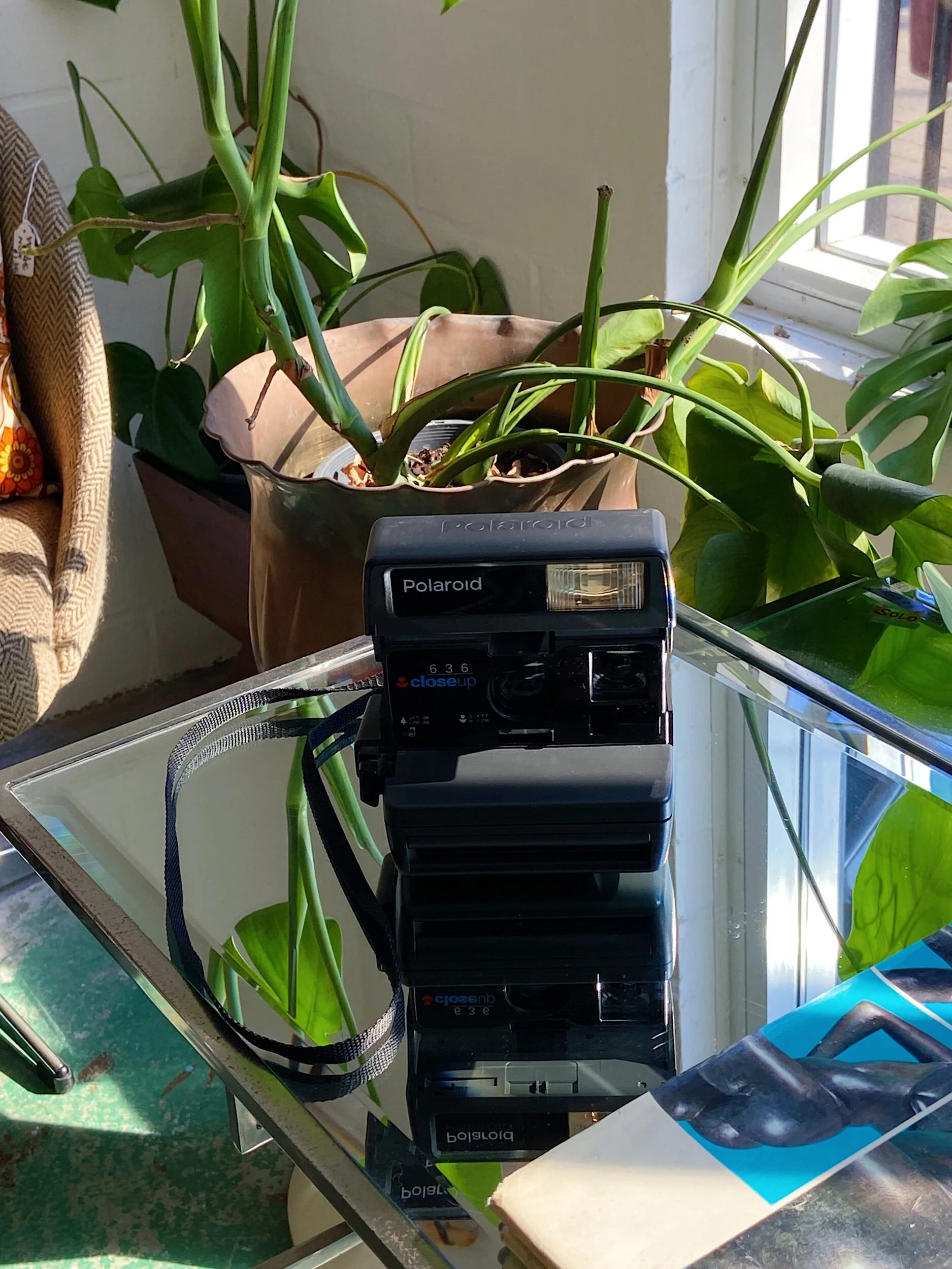 18489081-2157-4865-9E29-B3C33C28265C