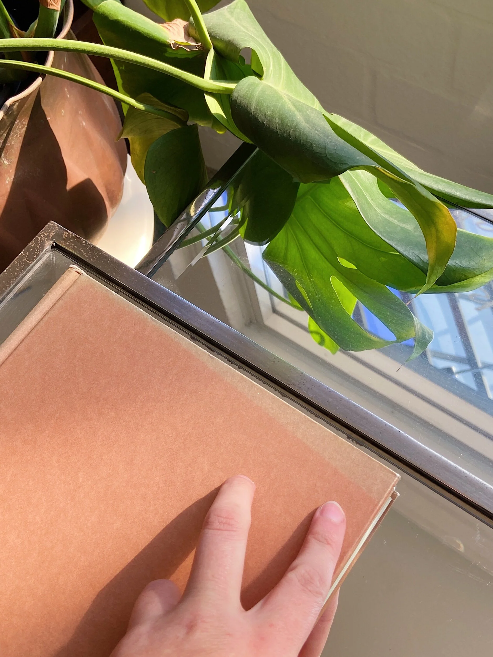 2527DF33-3211-4437-B3B9-CE3018DC8801