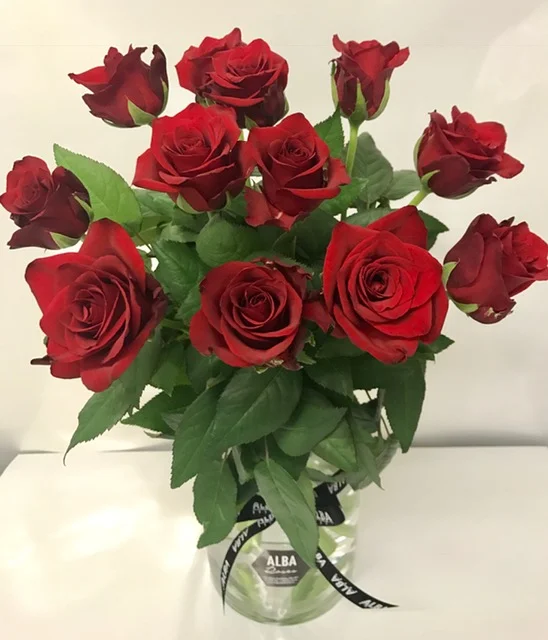 1-dozen-roses-in-vase.jpg
