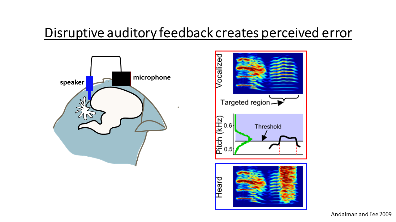 Slide from 2017 Journal Club