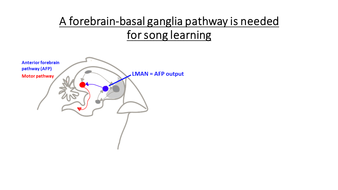 Slide from 2017 Journal Club