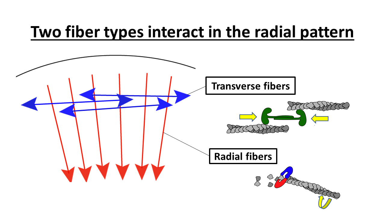 Slide from 2017 Lecture