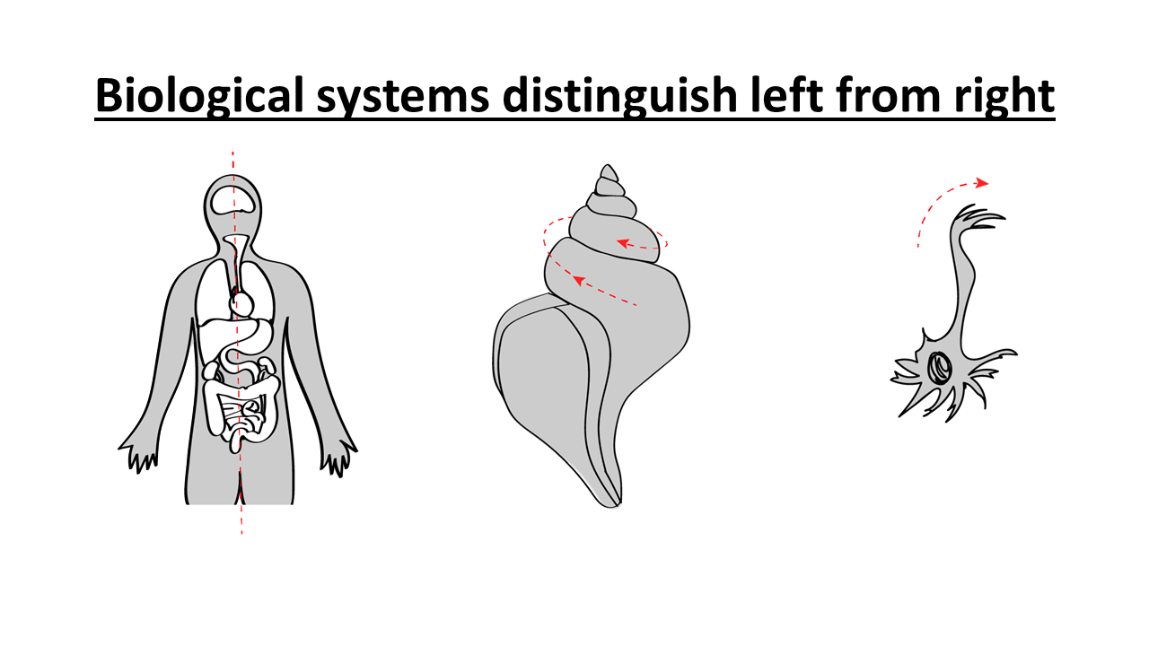 Slide from 2017 Lecture