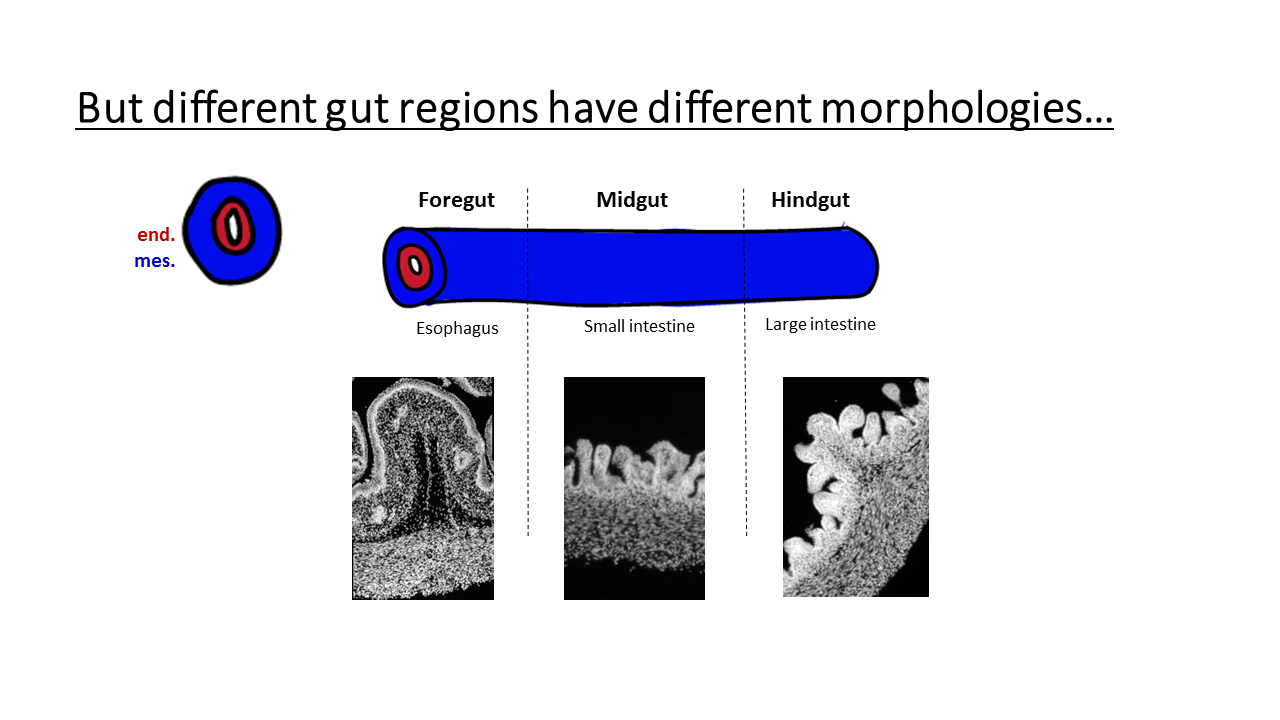 Slide from 2017 Research Talk