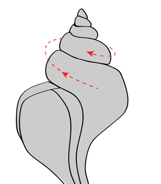 Hasreet Gill.MCB292 Slides.v3.png