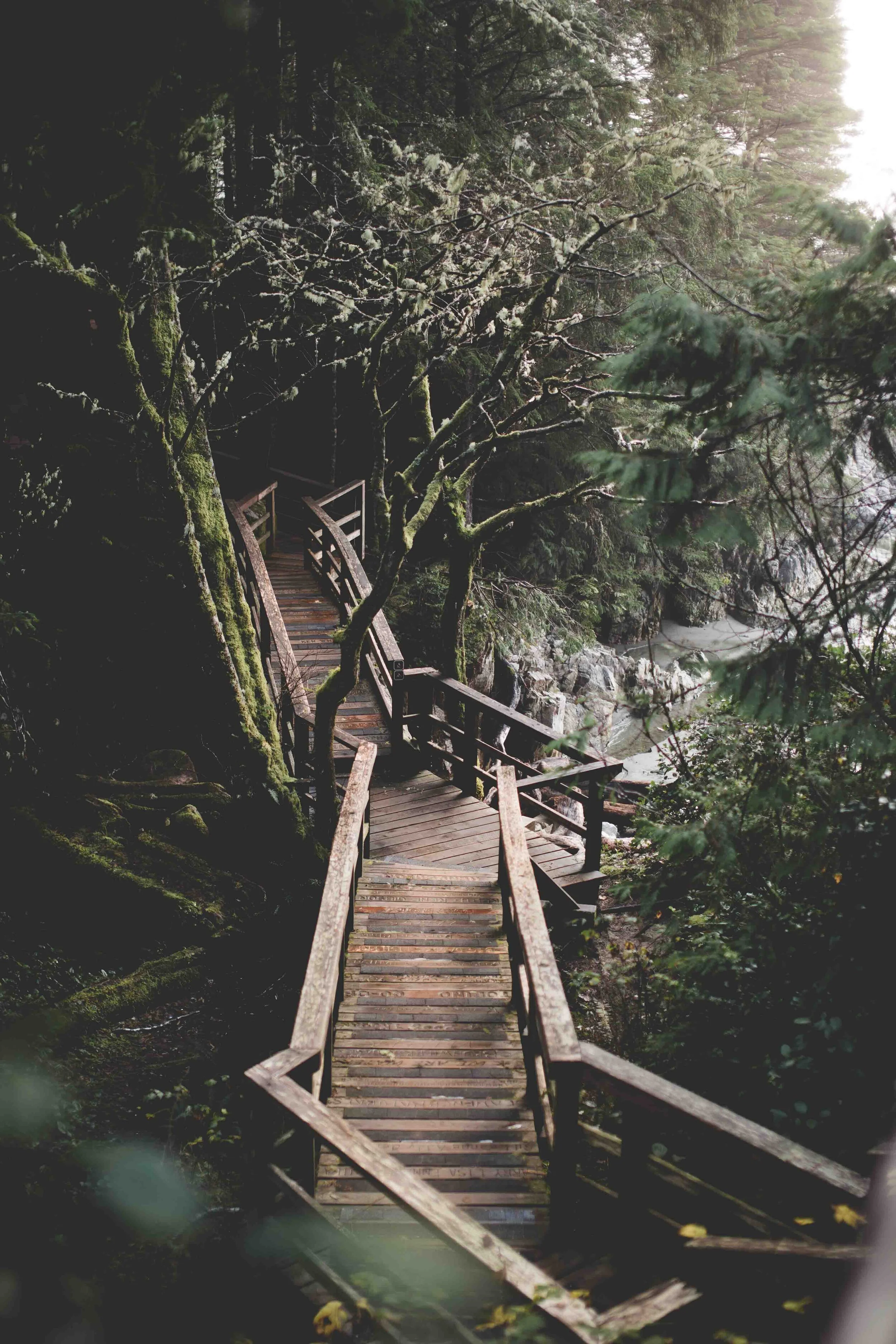 Boardwalk bridge at Tonquin Beach, Tofino