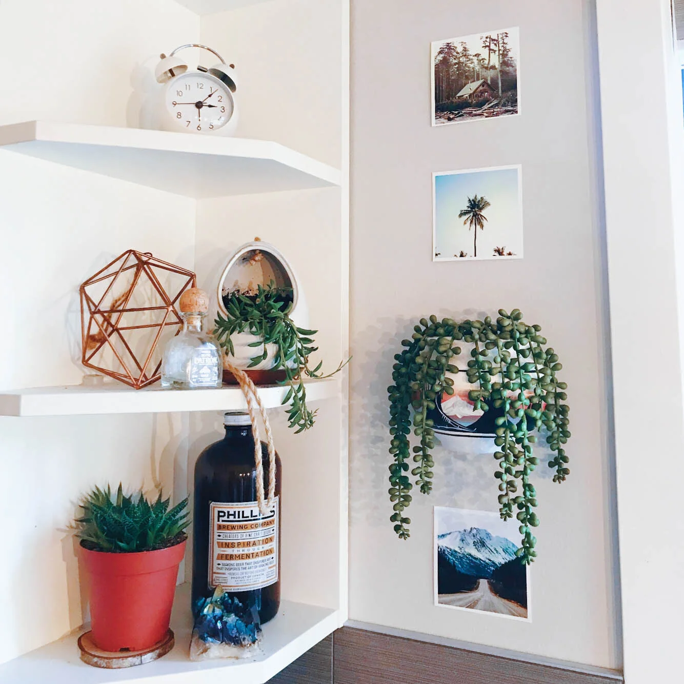 Screen Shot 2020-09-29 at 11.06.14 AM-1.jpg