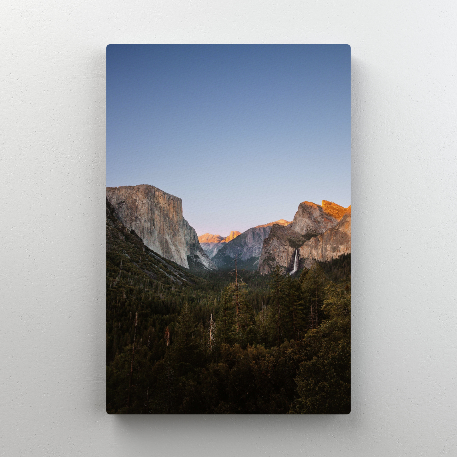 Untitled design (20).png