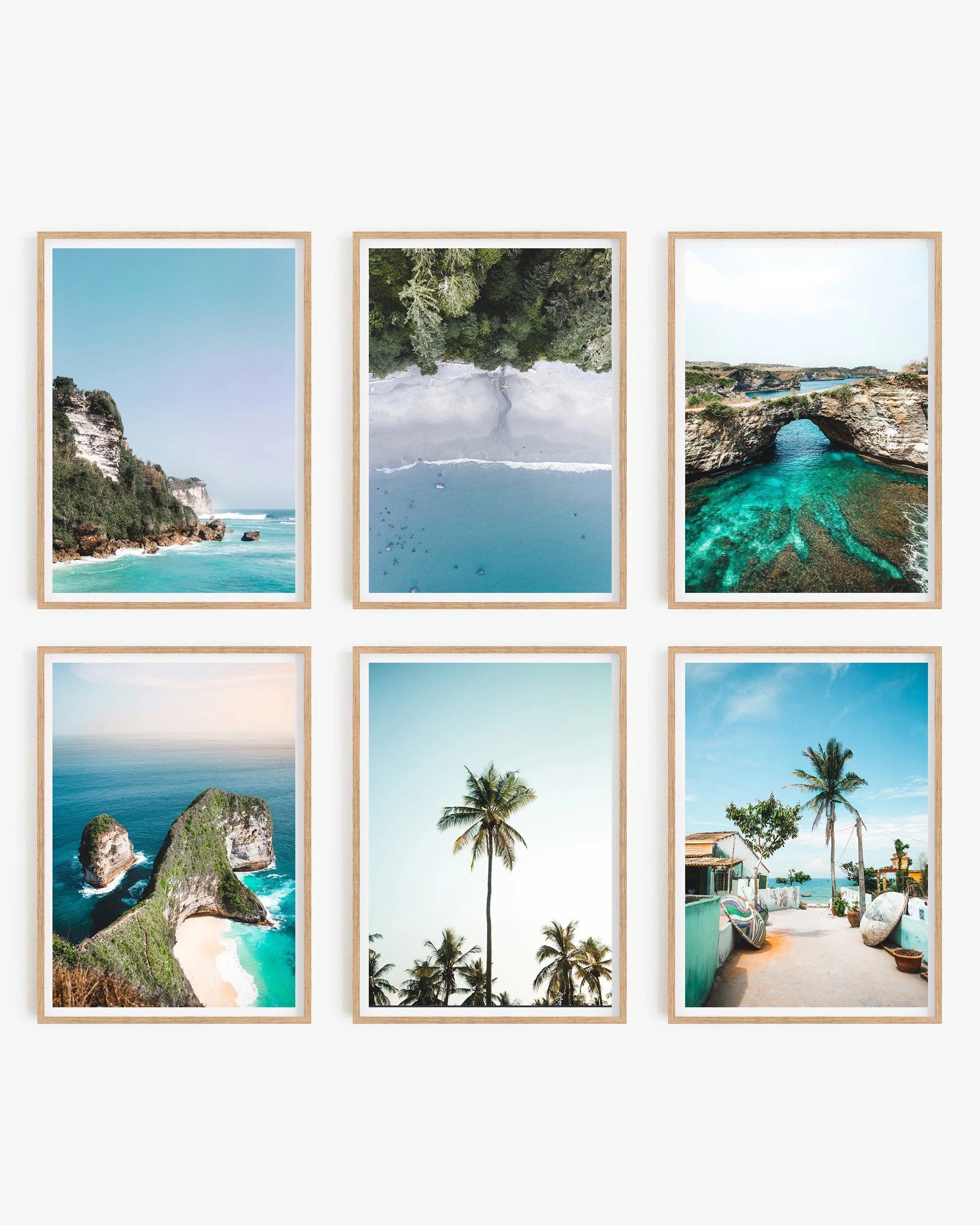 ADS-Tropical-2.jpg
