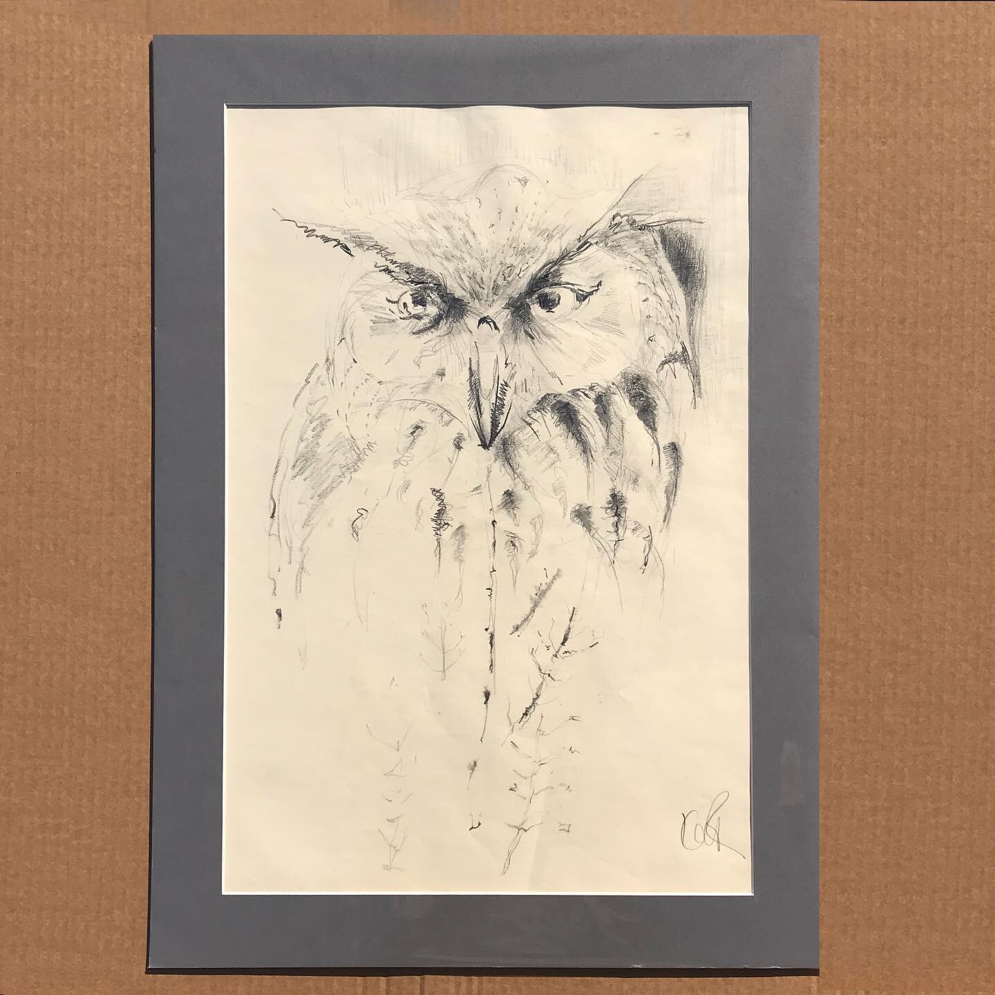 Today&rsquo;s sketch for #artistsupportpledge! Number 8 - Eagle owl
&pound;150 (+p&amp;p)
Original sketch
Pencil drawing 
Mounted
64cm x 46cm
DM me if interested!

#artistsupportpledge #sketchoftheday #orginalart #originalartwork #owl #owlsketch #bri