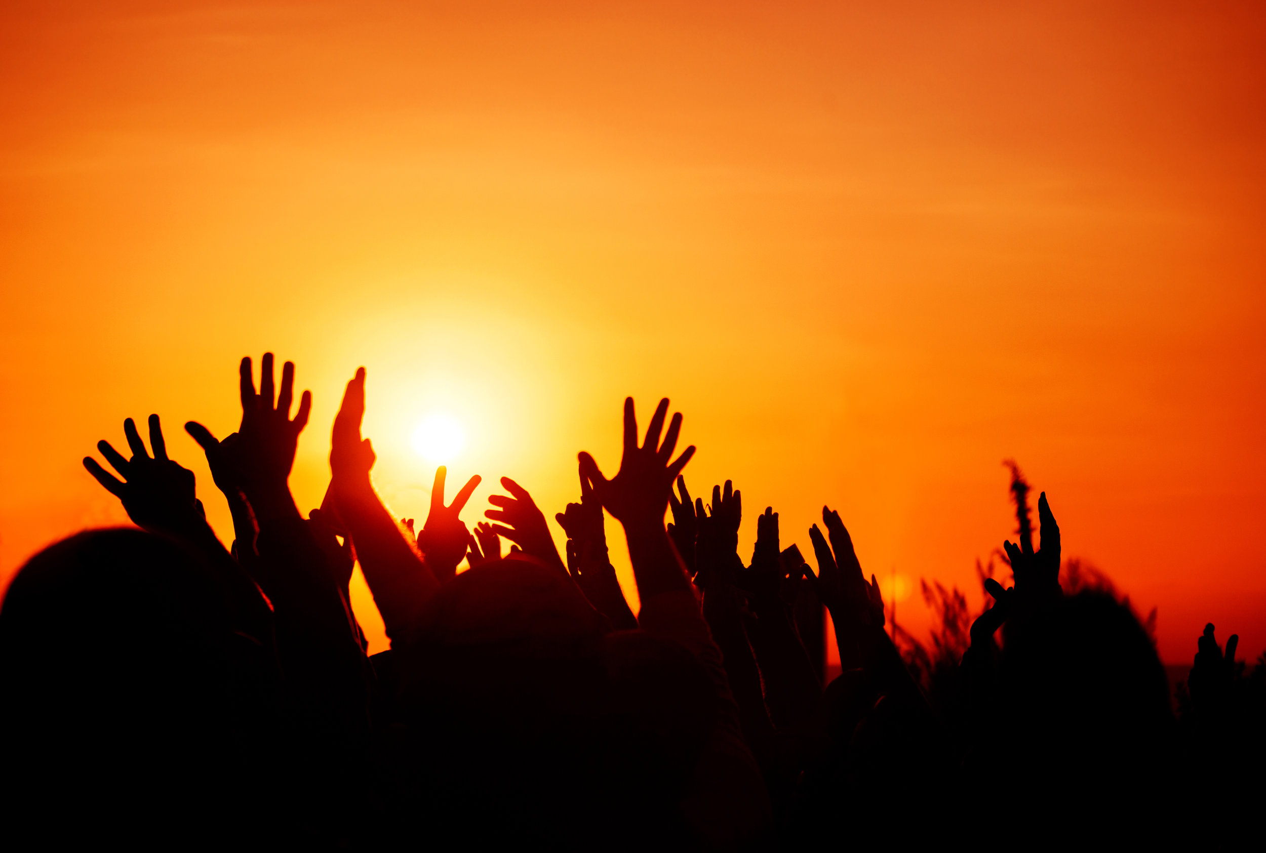 iStock-488942927.jpg