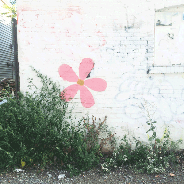 squarespace-KD-Kim-deon-follow-facebook-600-dithered.gif