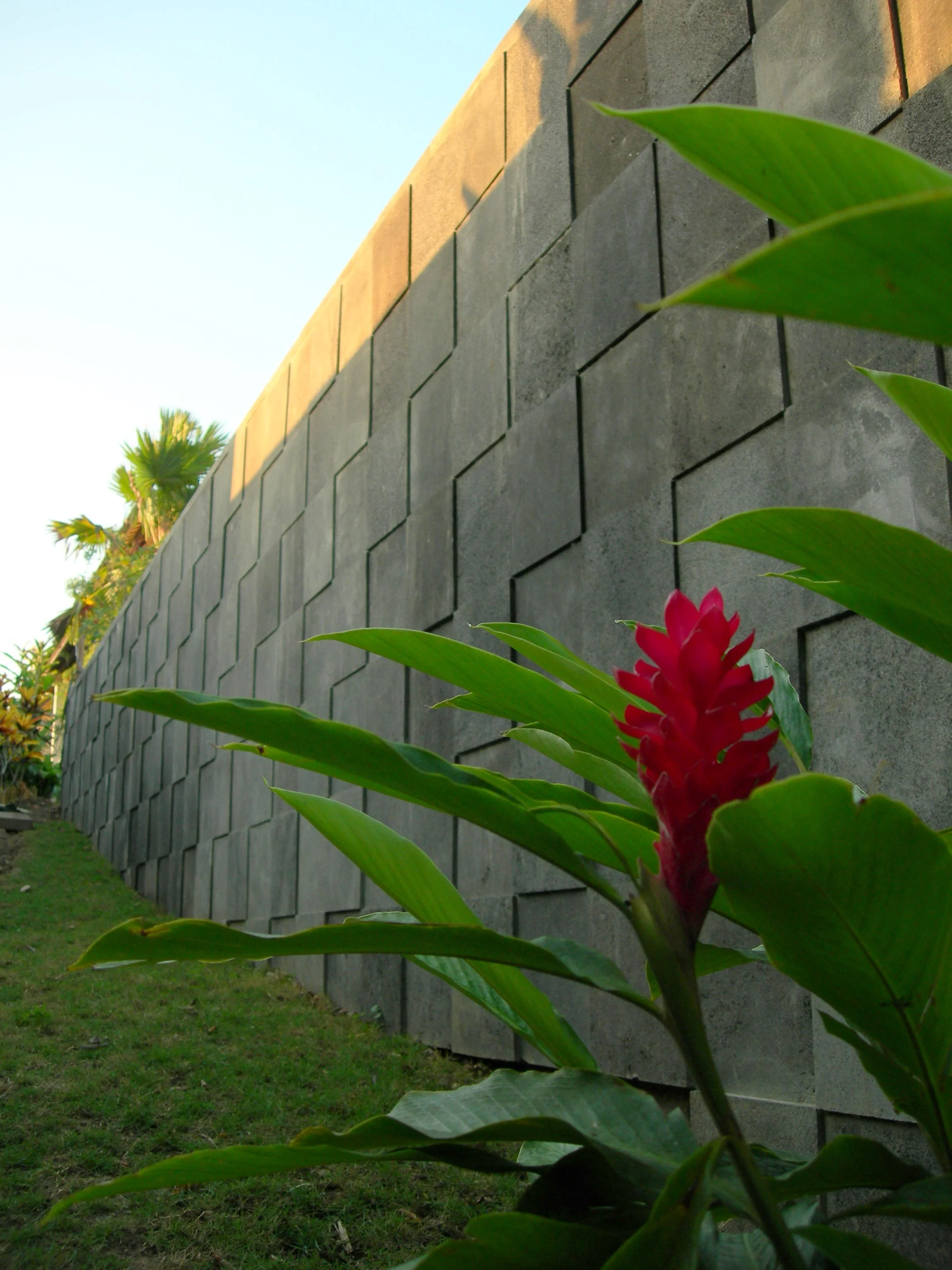 DSCN5798.JPG
