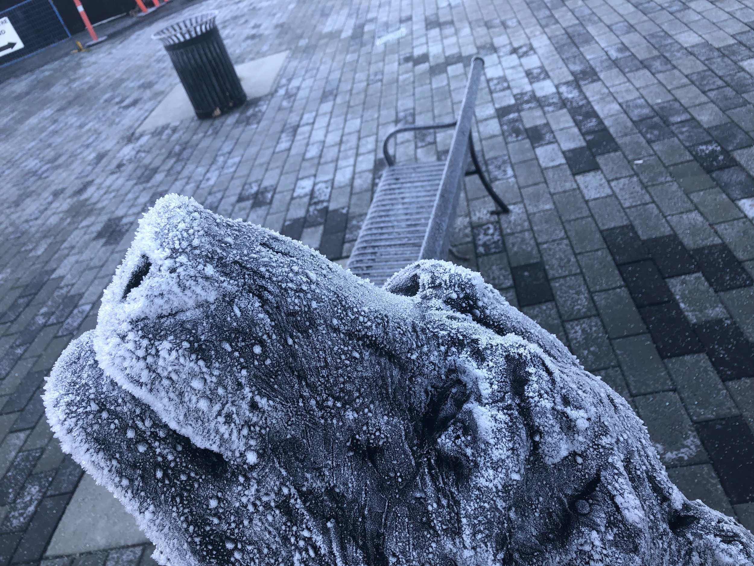 North vancouver sculpture