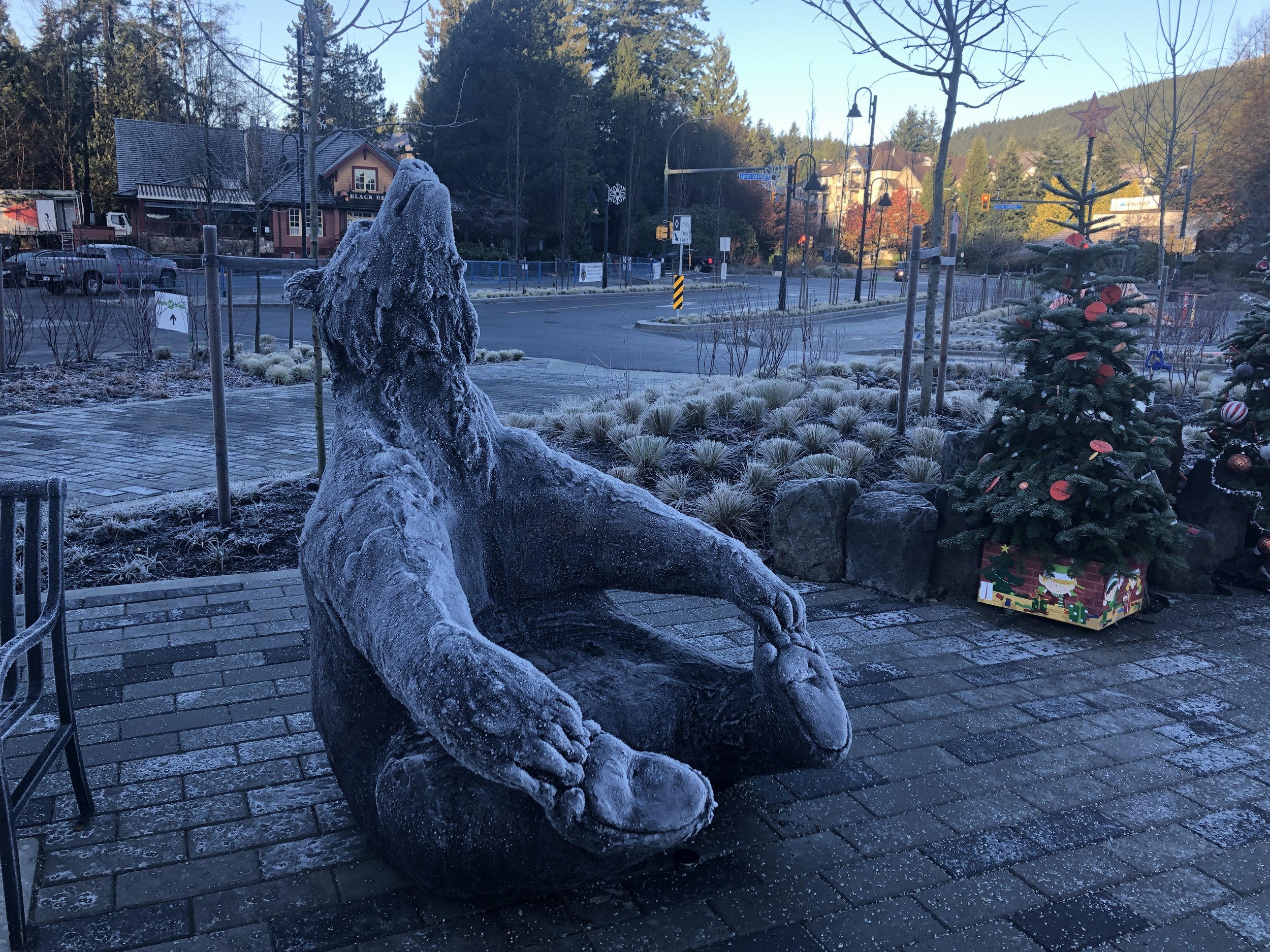 Bear sculpture dam de nogales
