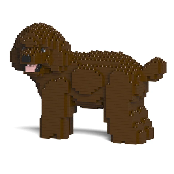choco poodle